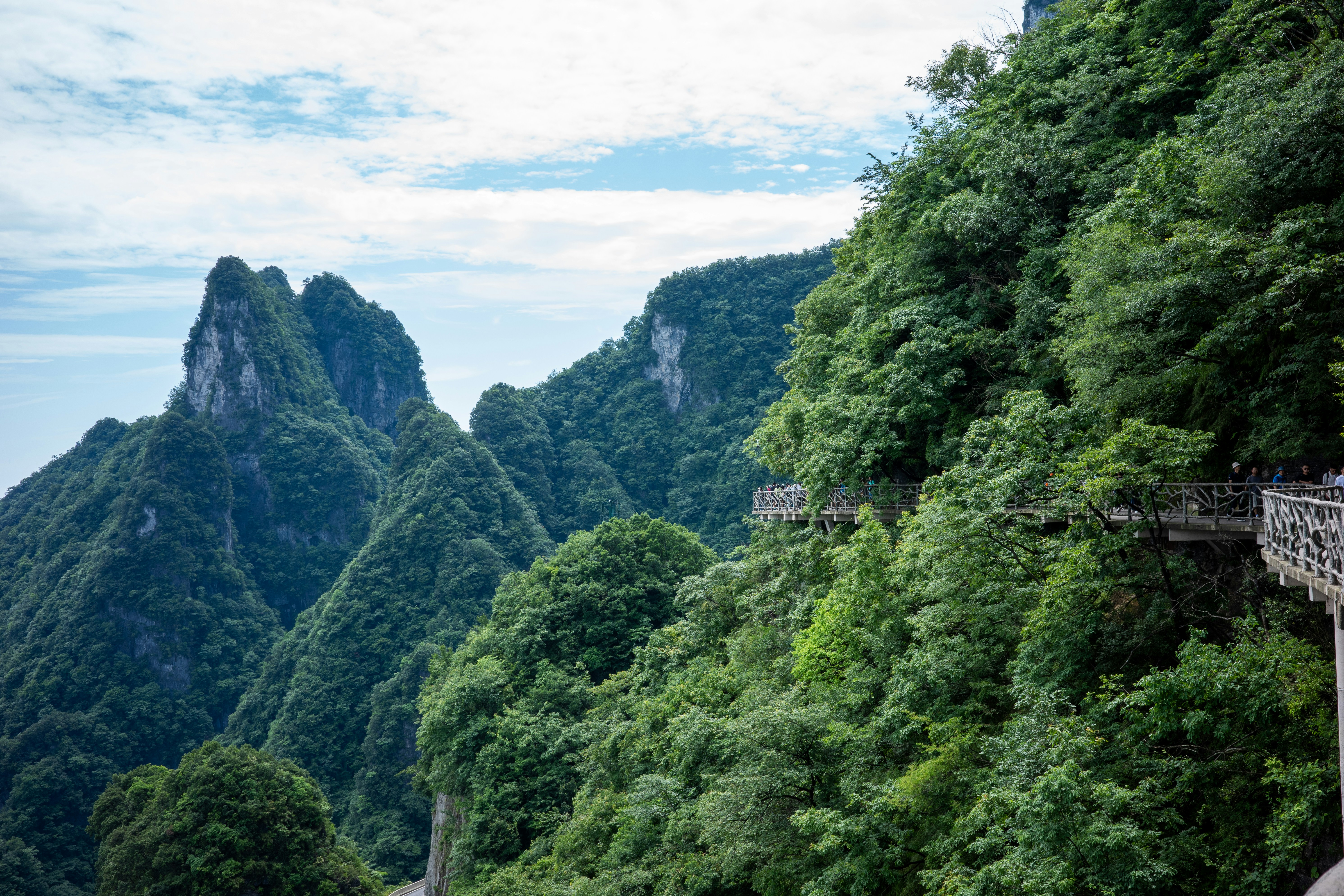 Caminar por pasarelas suspendidas – Zhangjiajie