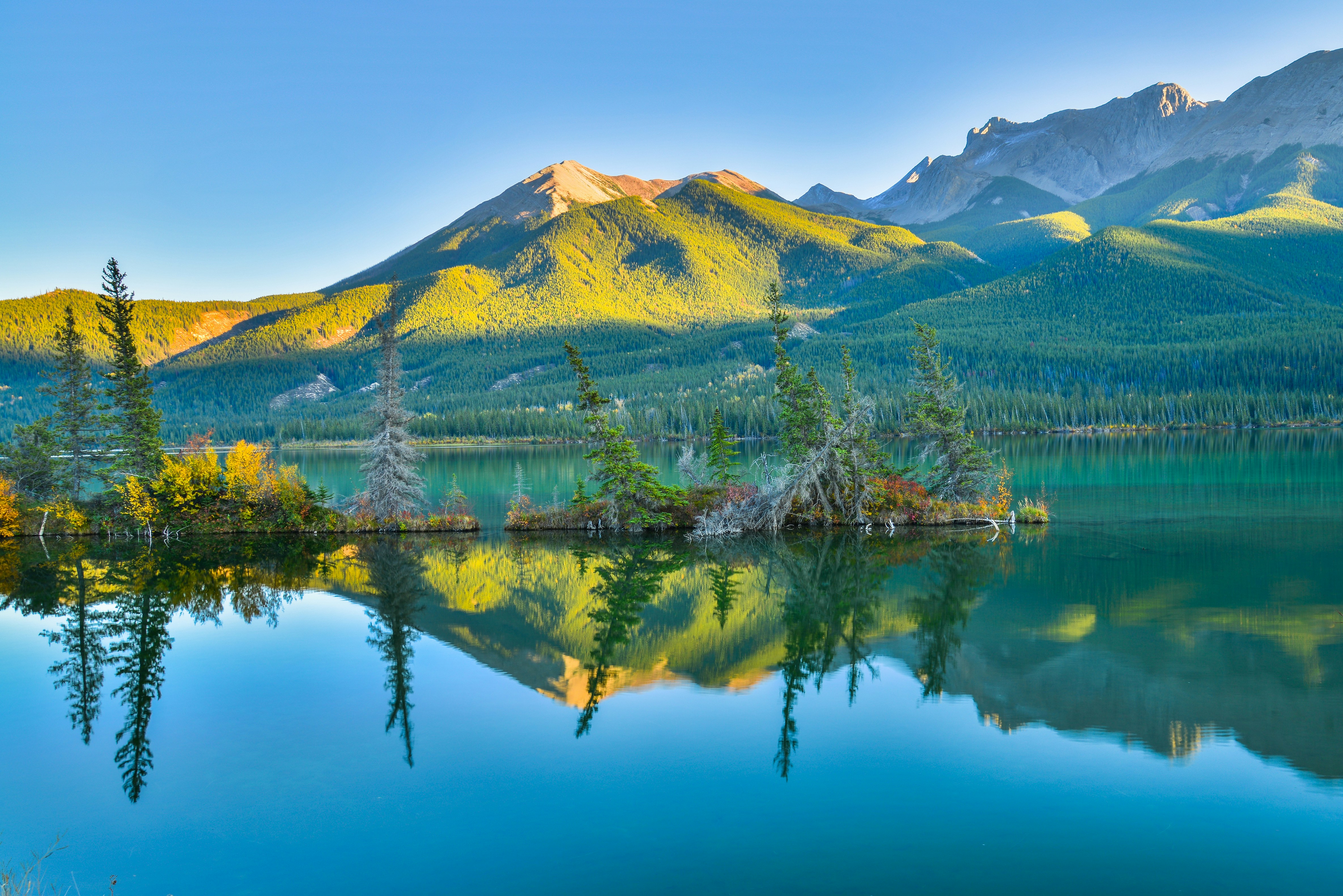 Une petite île avec des conifères dans un lac calme qui reflète des sommets montagneux