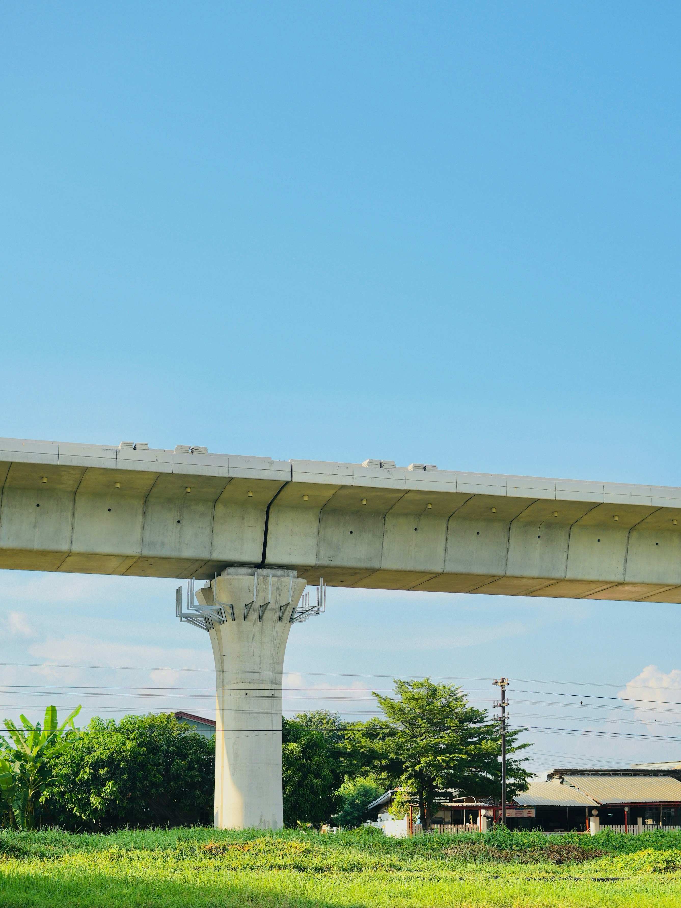 A concrete elevated railway track on a pillar above green trees and grass