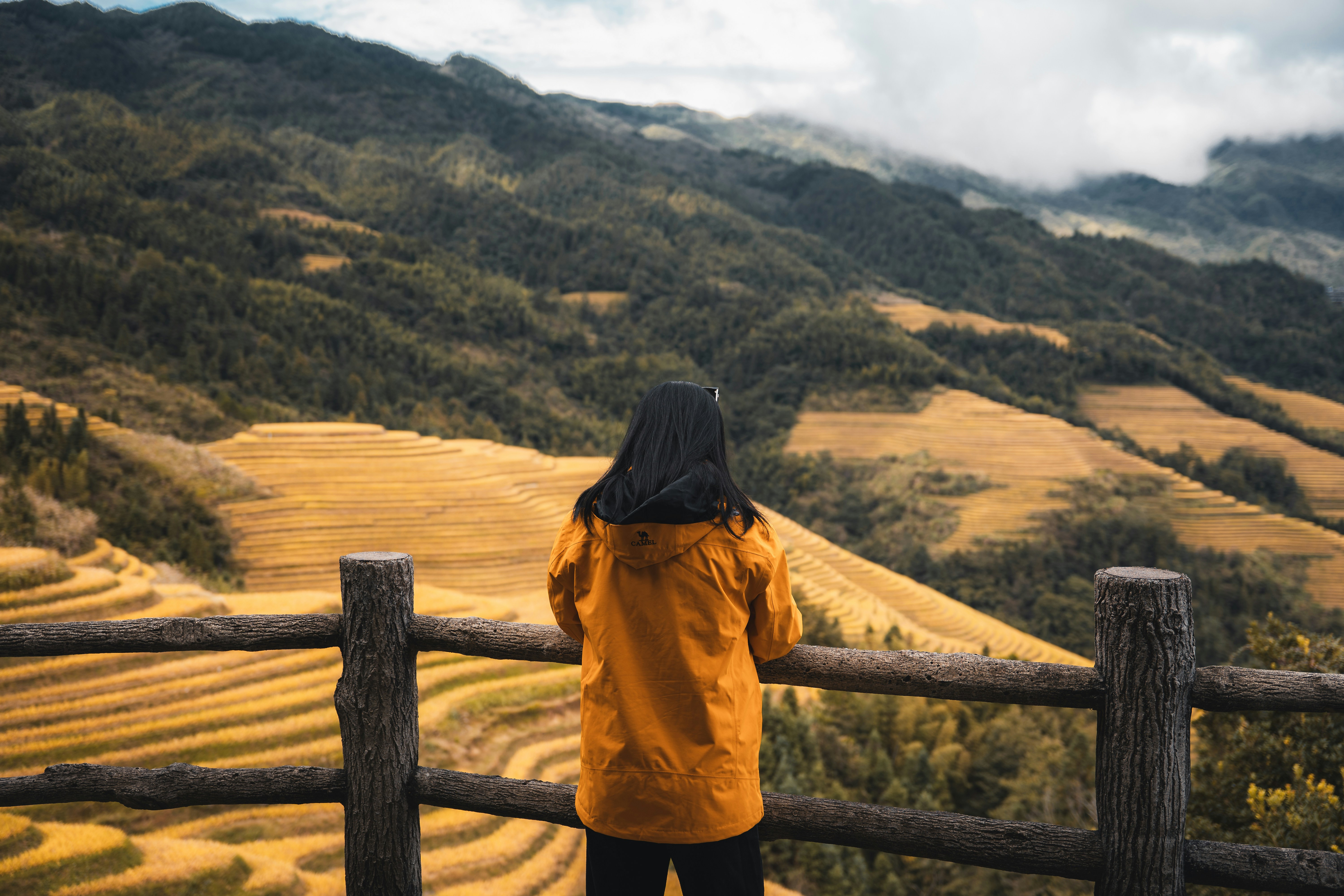 A person in a yellow jacket leaning on a wooden fence overlooking rice terraces