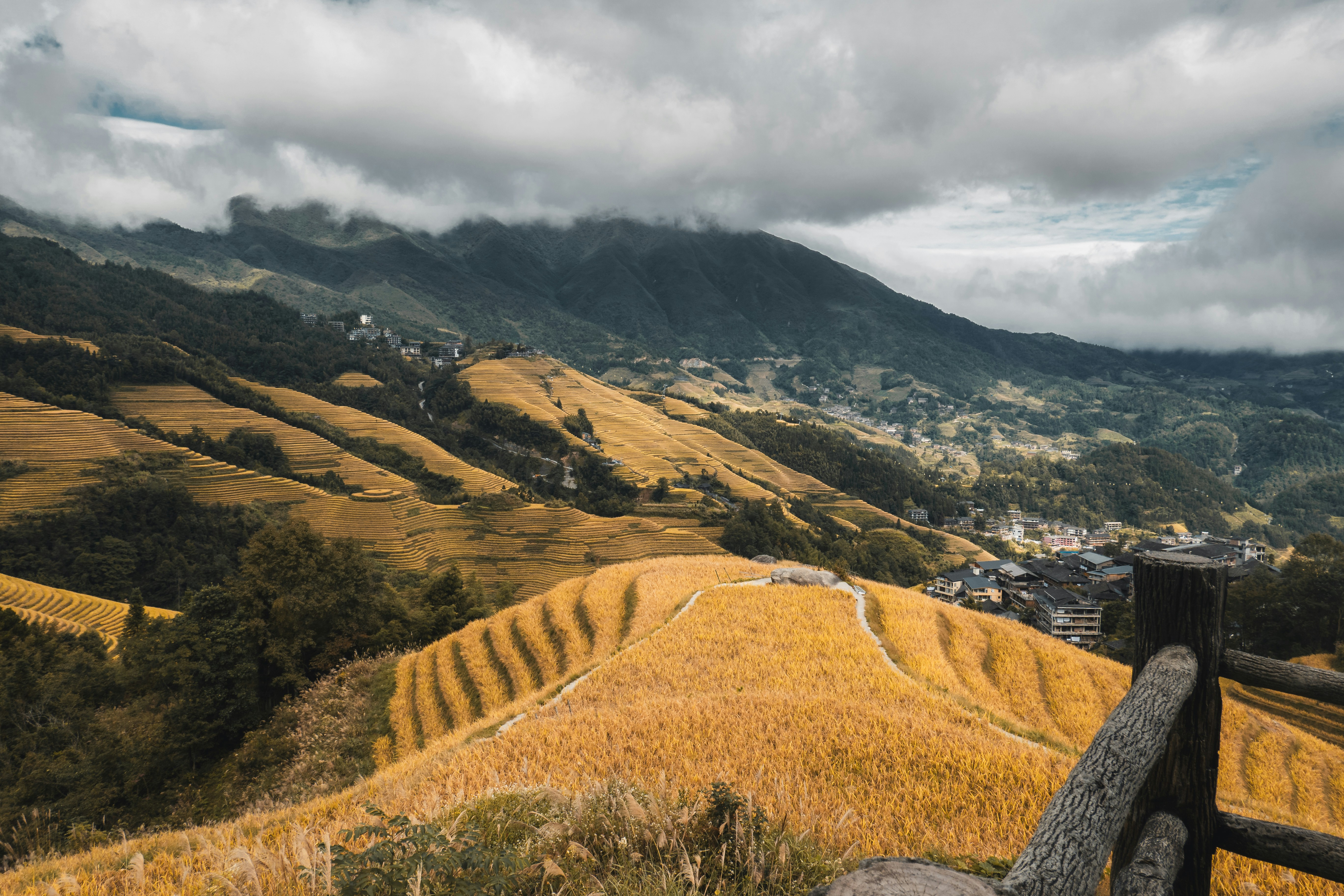 Golden rice terraces on mountain slopes under a cloudy sky with a wooden fence