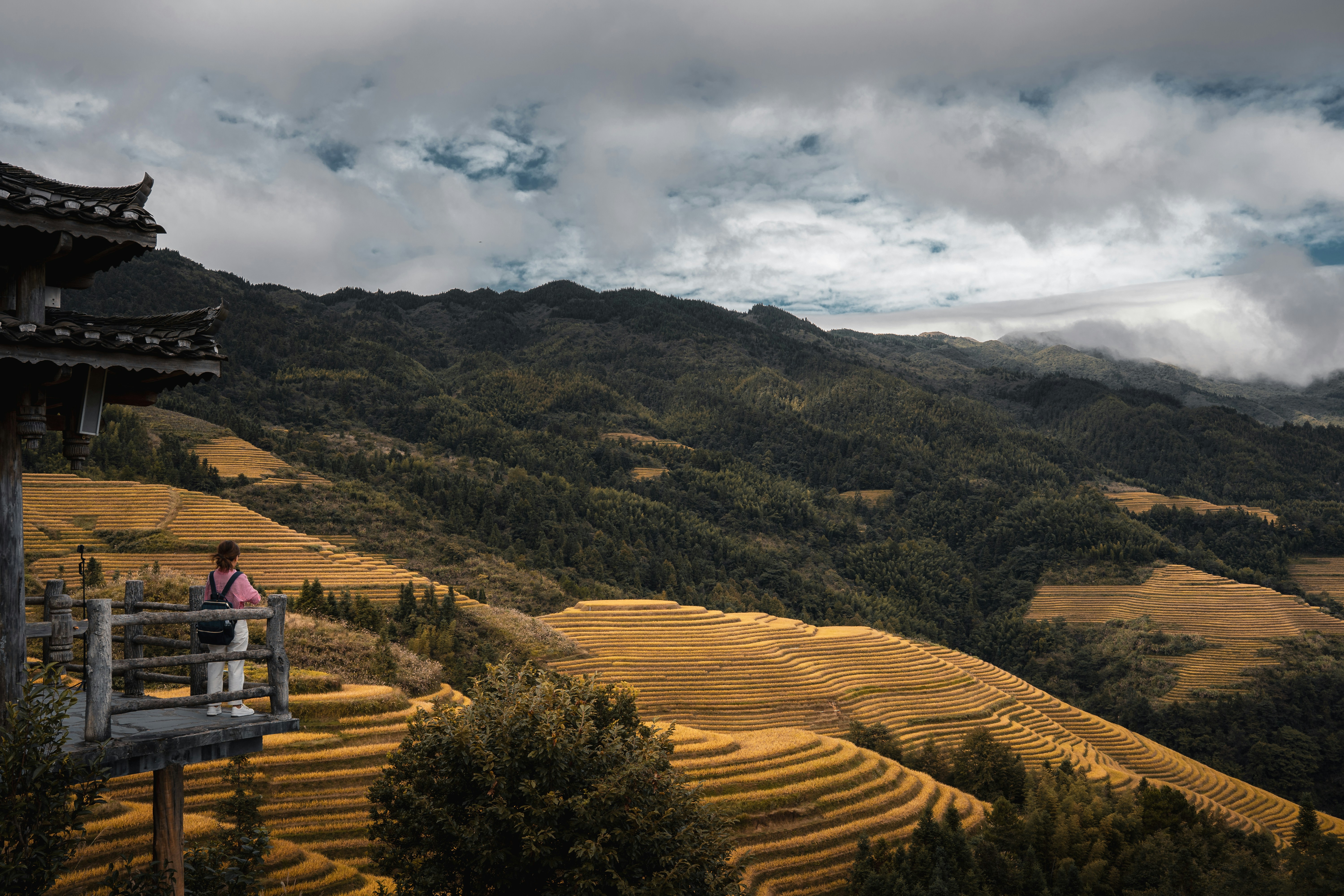 A person with a backpack on a wooden balcony overlooking golden rice terraces