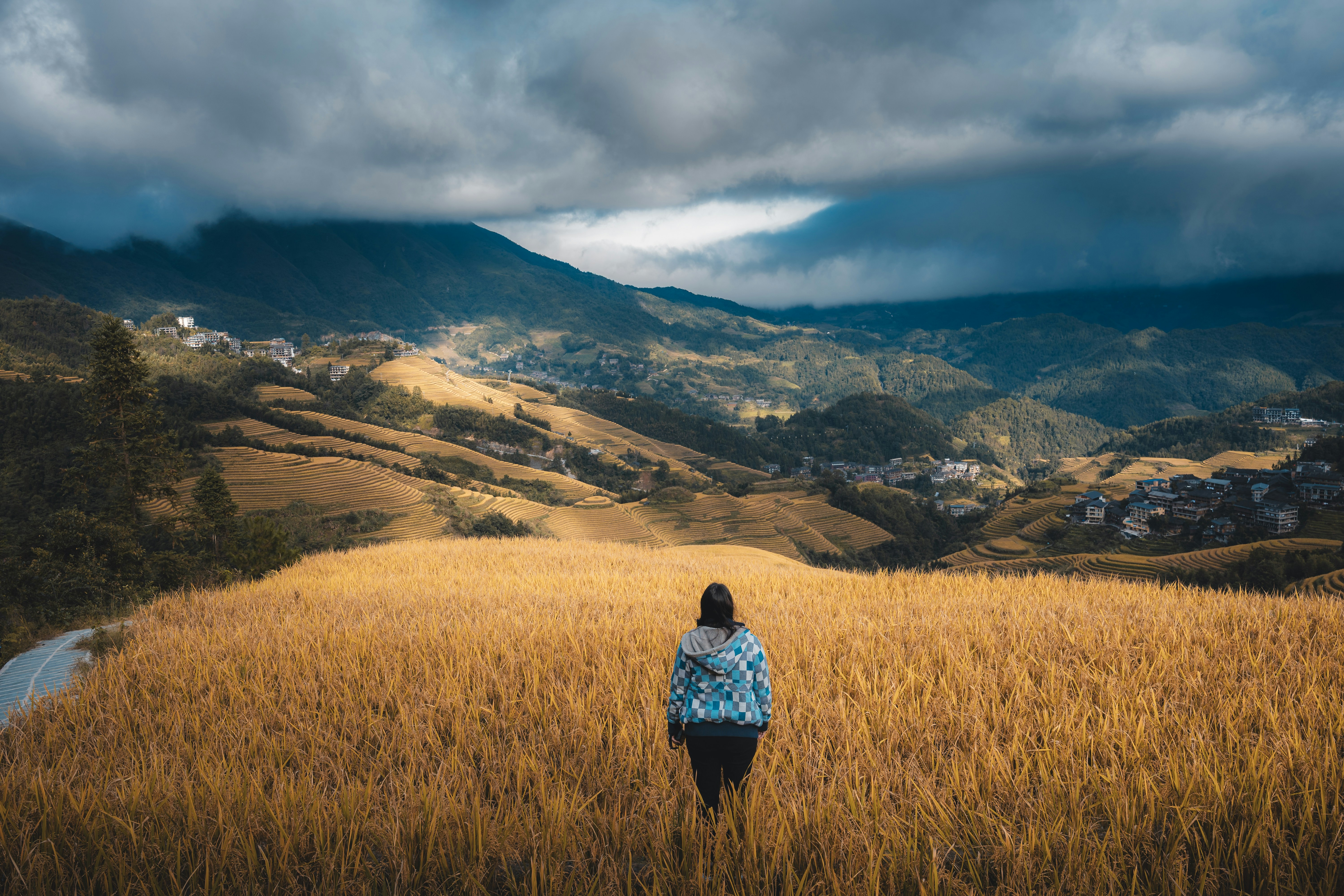 A person in a checkered jacket standing in a golden rice field