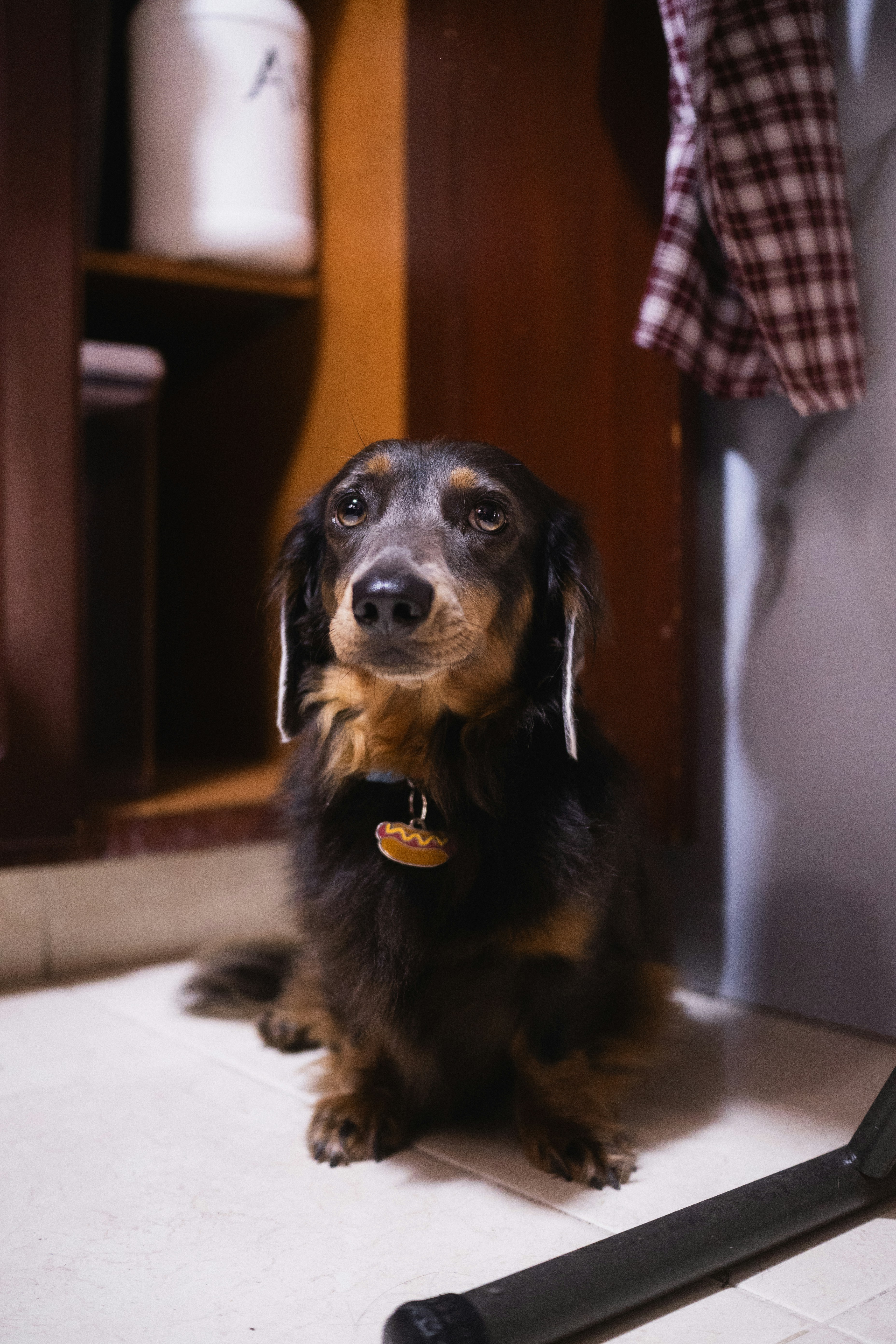 Le Chien Pimpant (Givors) — Givors