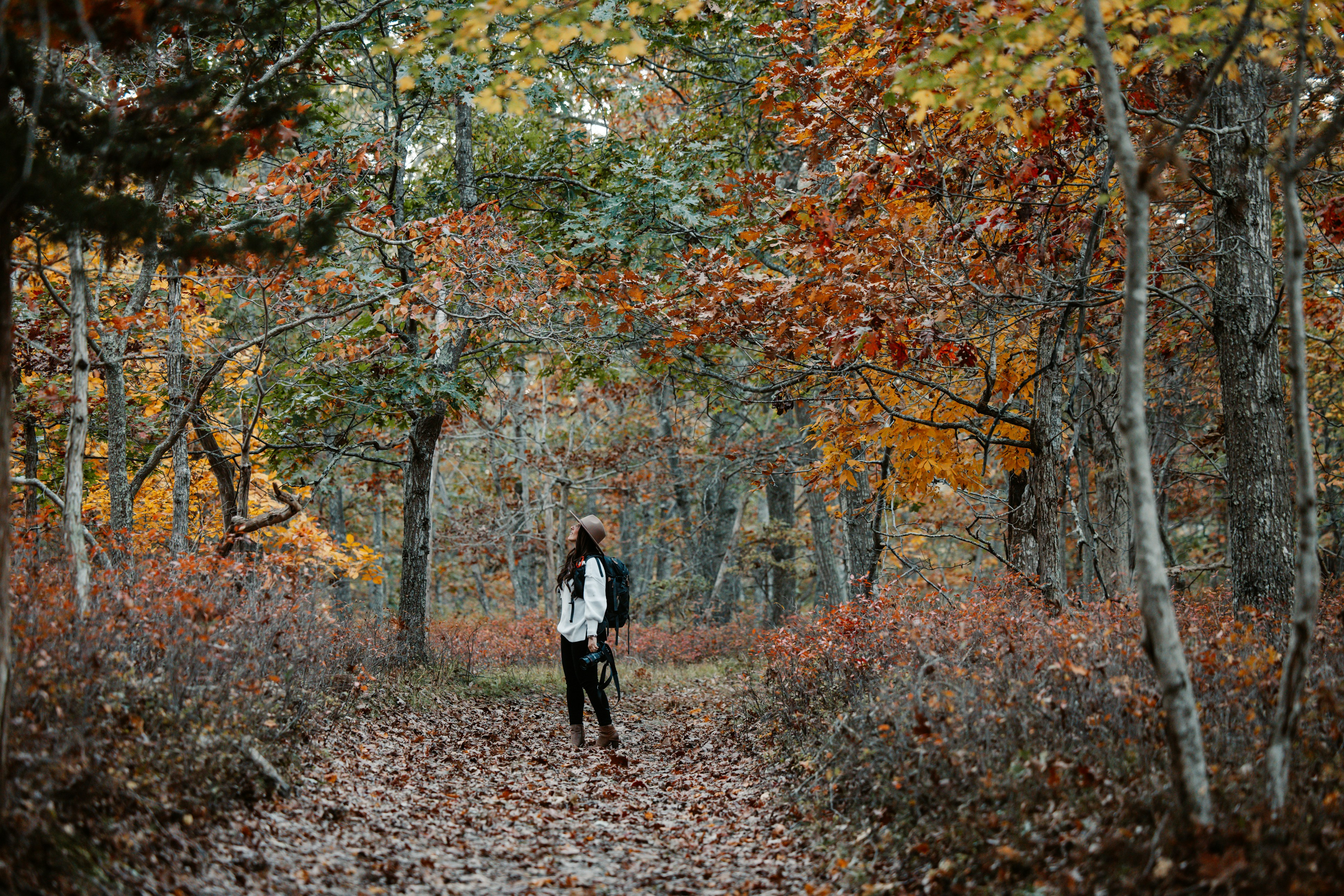 The Best Fall Color Spots in SE Minnesota Are Worth the Drive