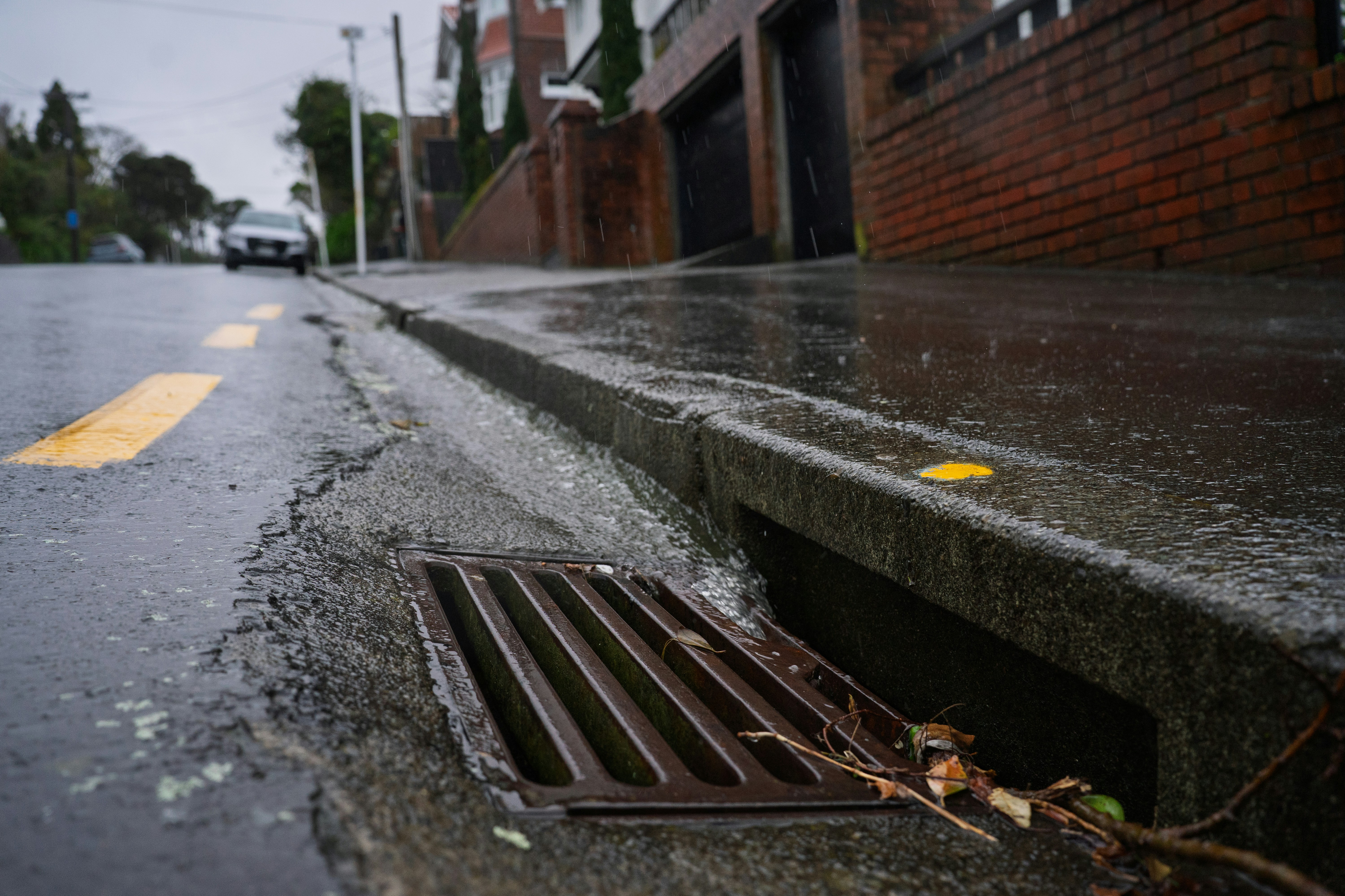 Rainwater flowing into a metal storm drain on a wet city street