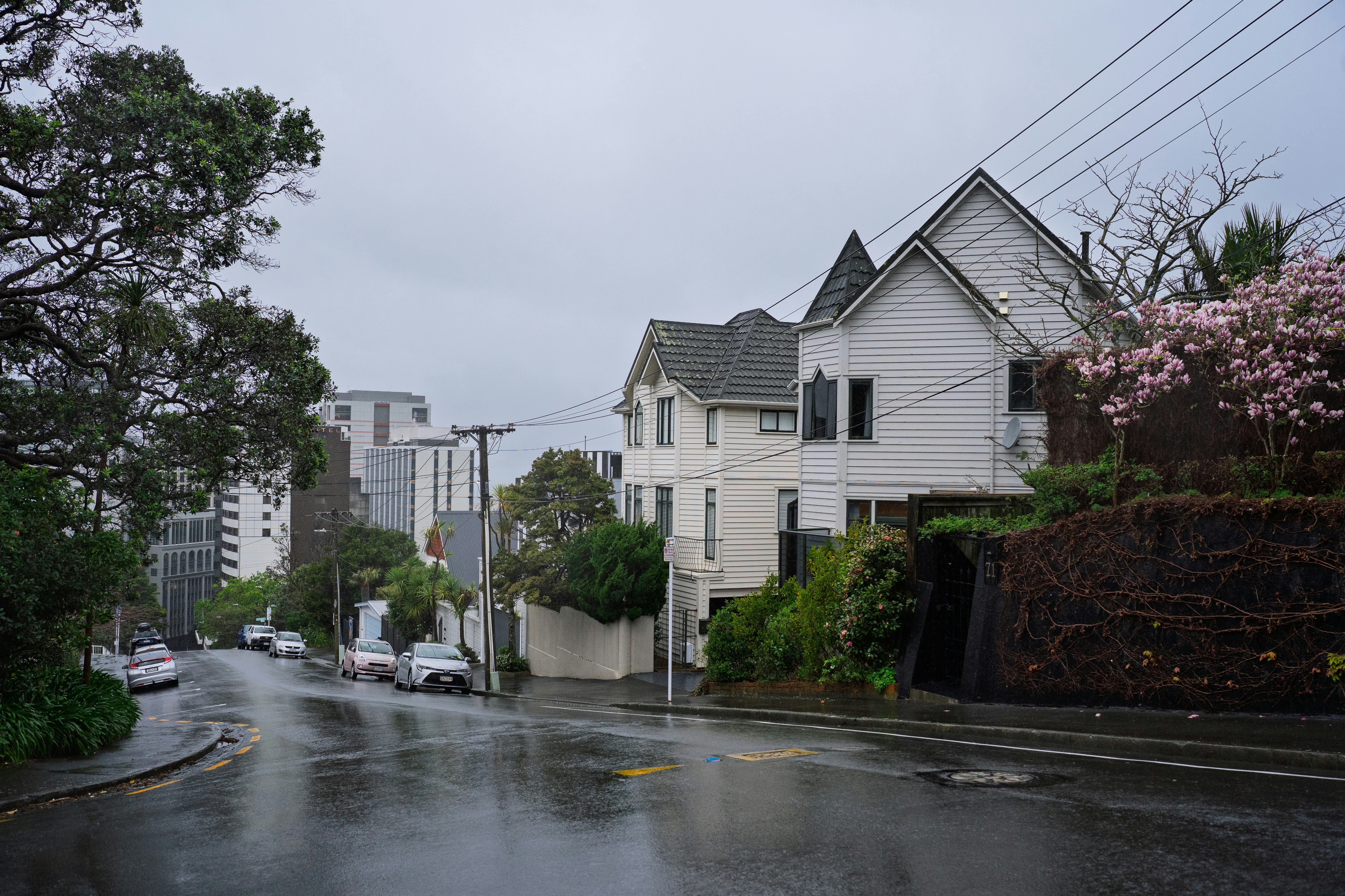 flooded residential street - A wet street sloping downhill past white houses and trees on a cloudy day
