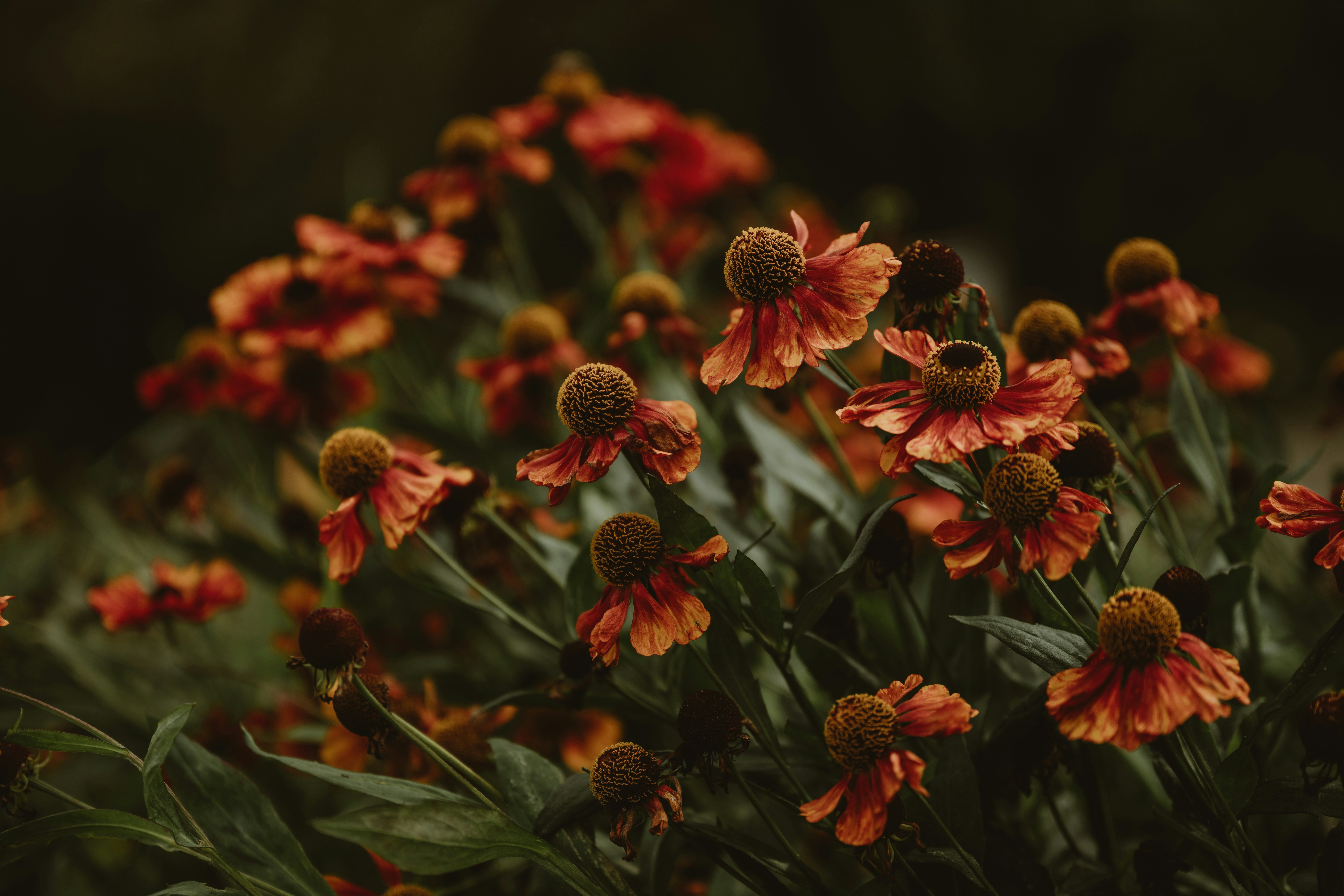 7 Canberra House Cleaning Services That Locals Rely On 2026