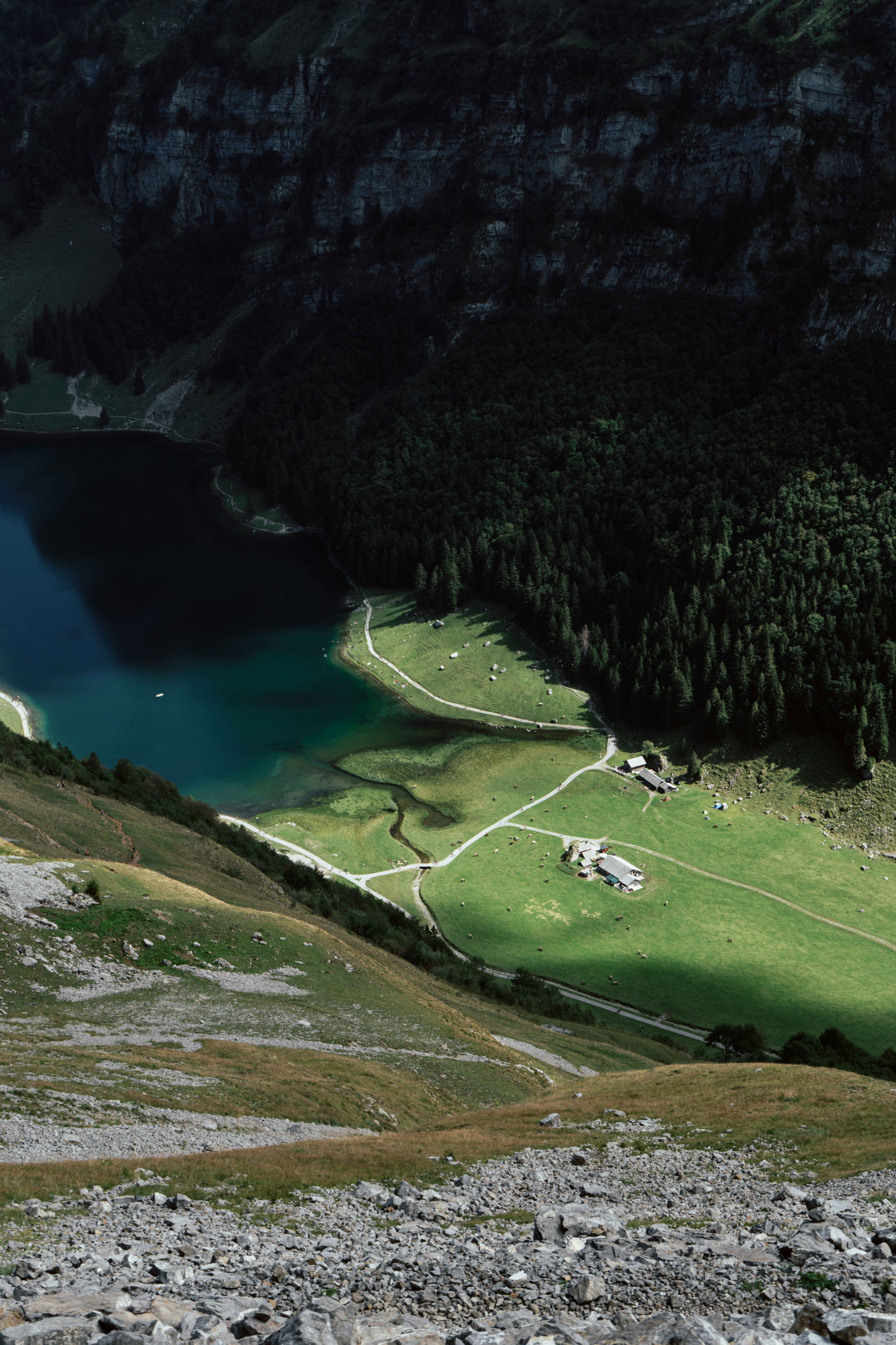 Ein Blick aus dem hohen Winkel auf einen tiefblauen See neben grünen Weiden und Wald
