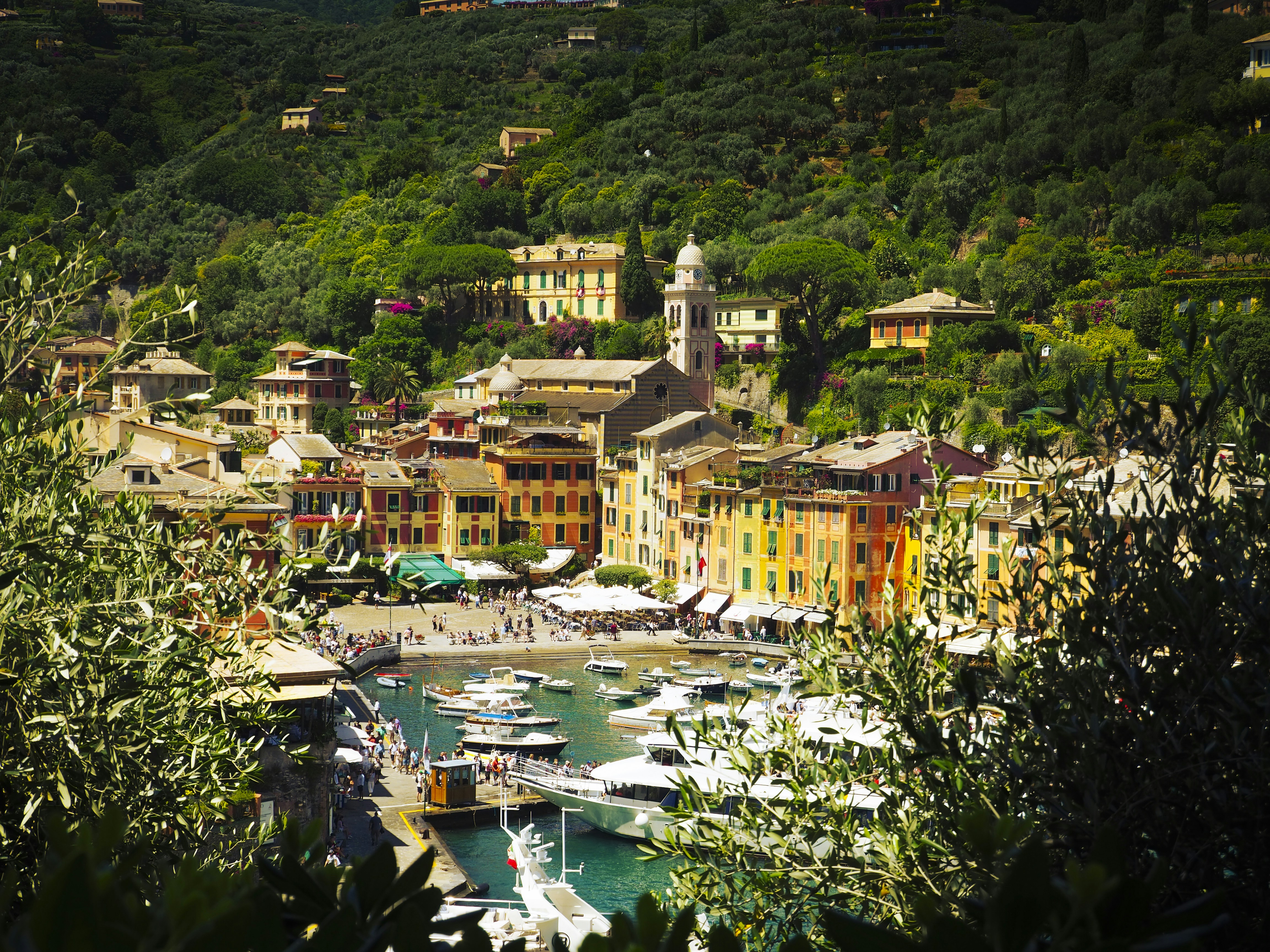Photo of Portofino