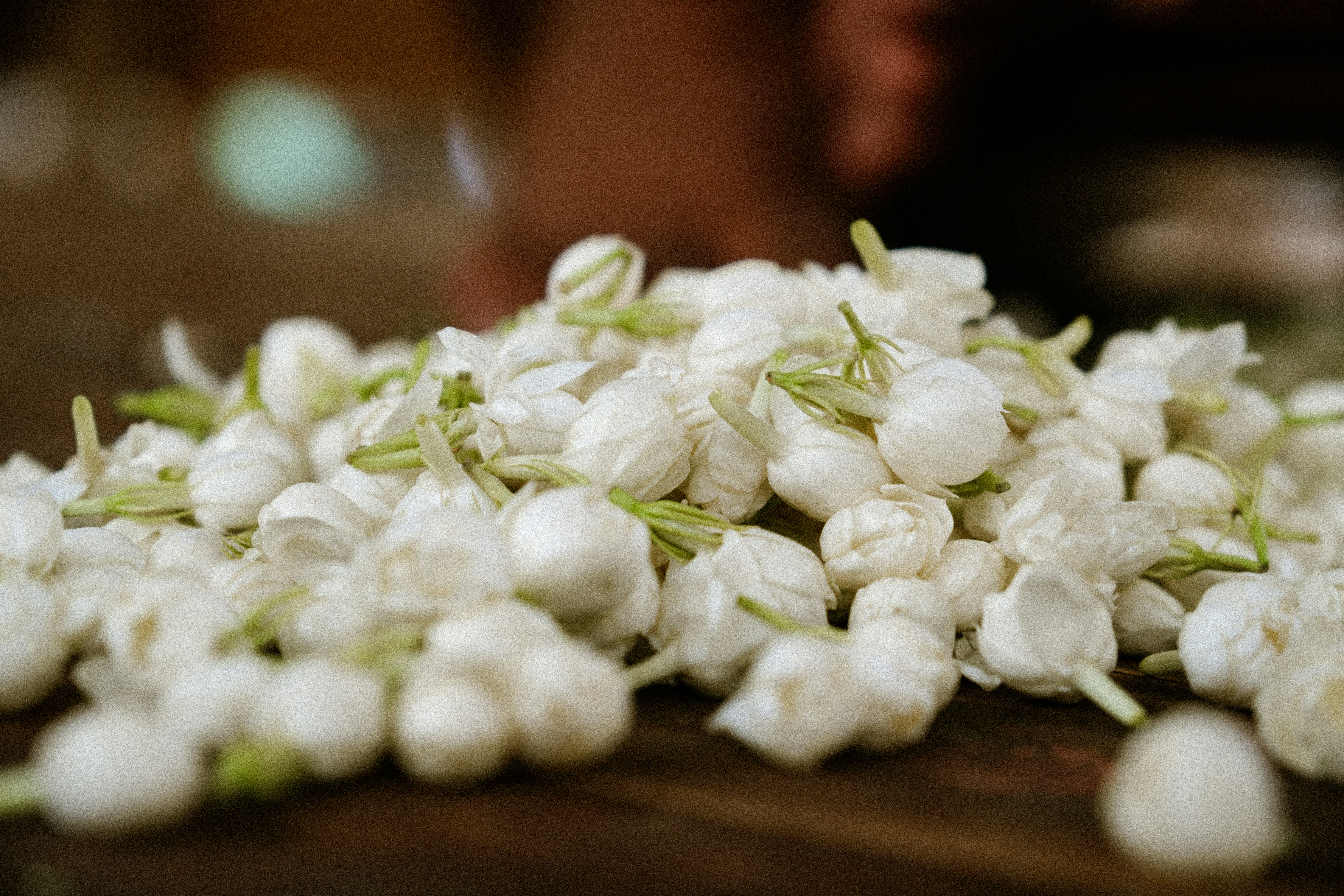 Um monte de botões de flores de jasmim branco sobre uma superfície de madeira escura