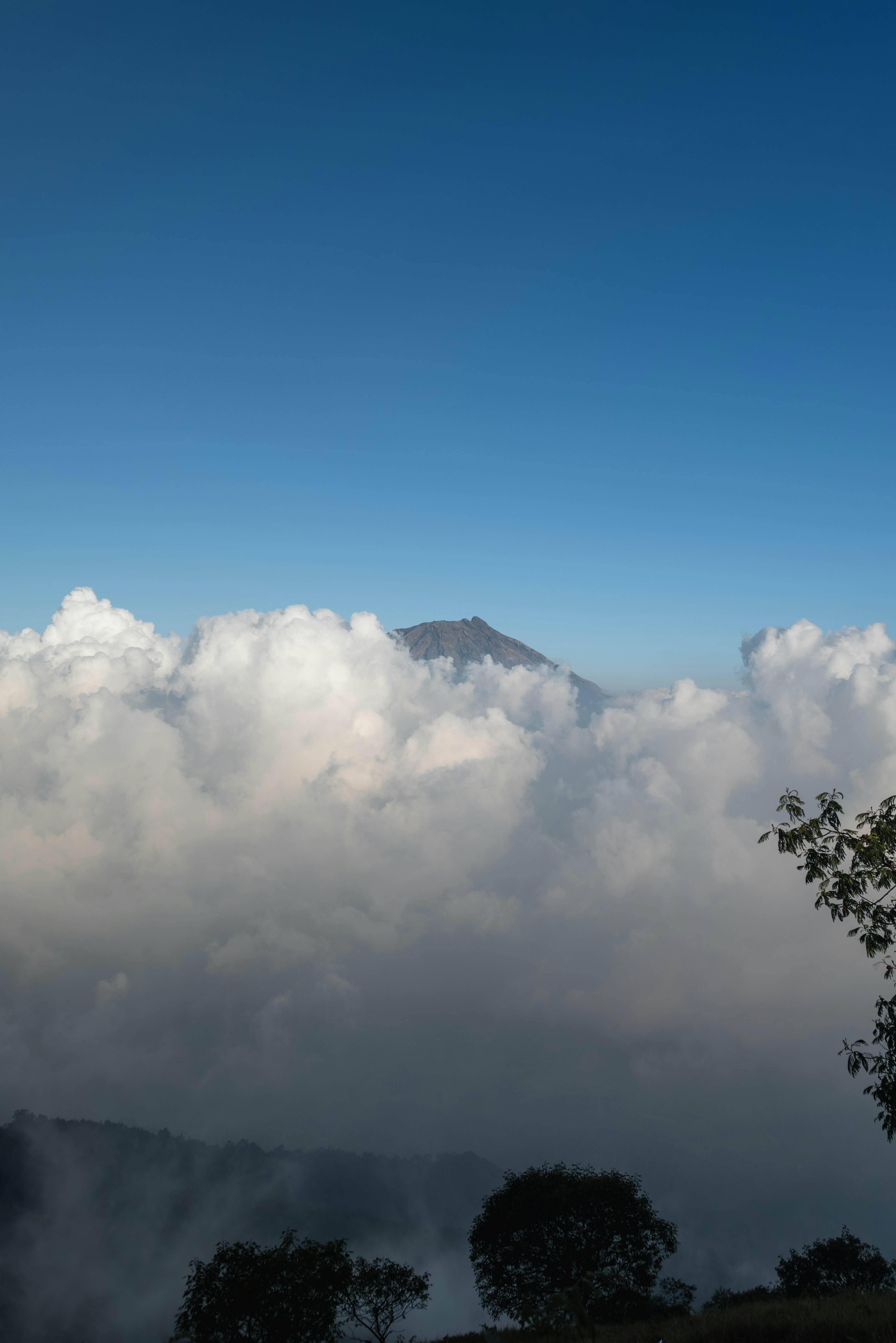 A mountain peak rising above a thick layer of white clouds under blue sky