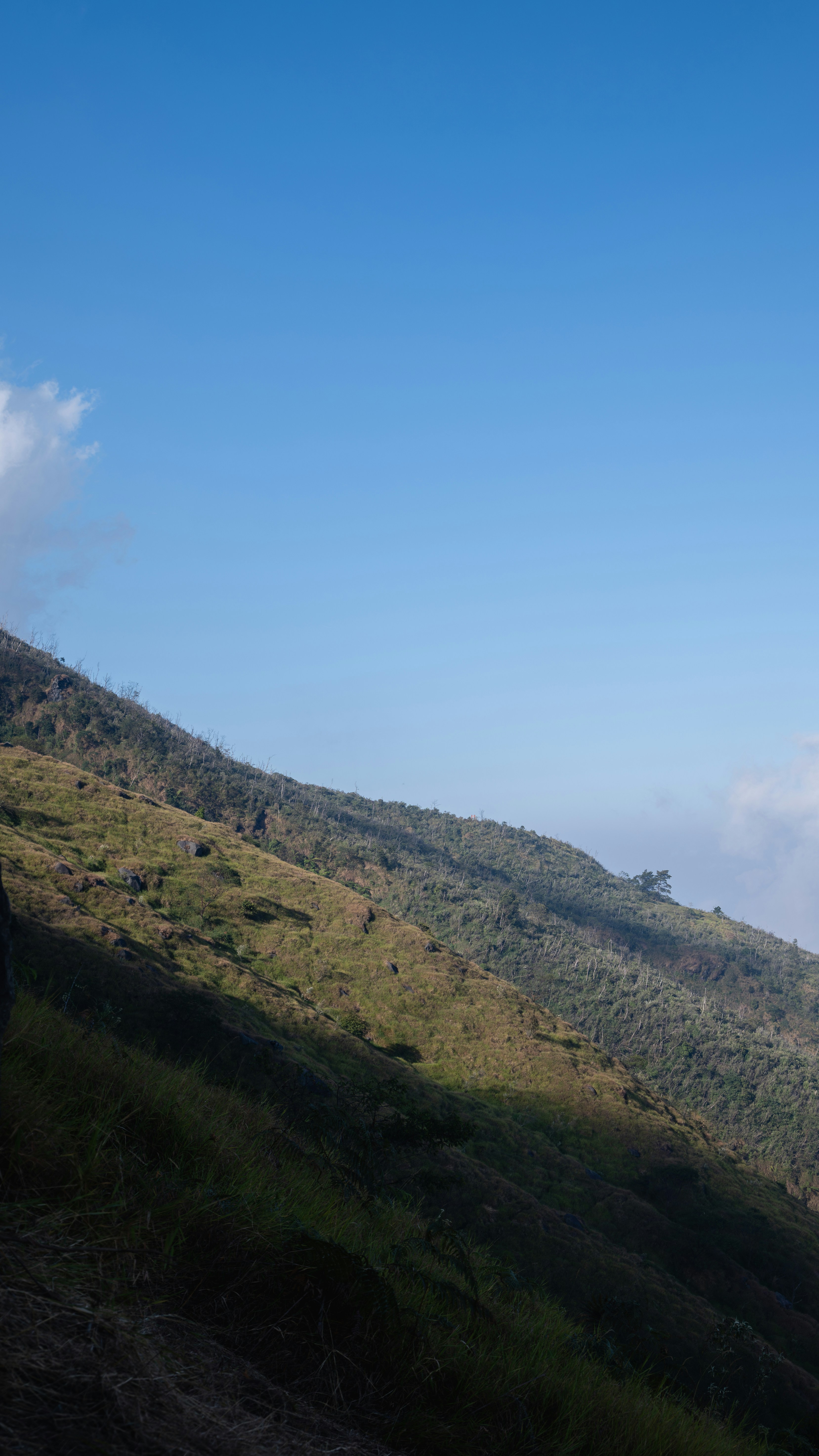 A grassy mountain slope under a clear blue sky with light clouds