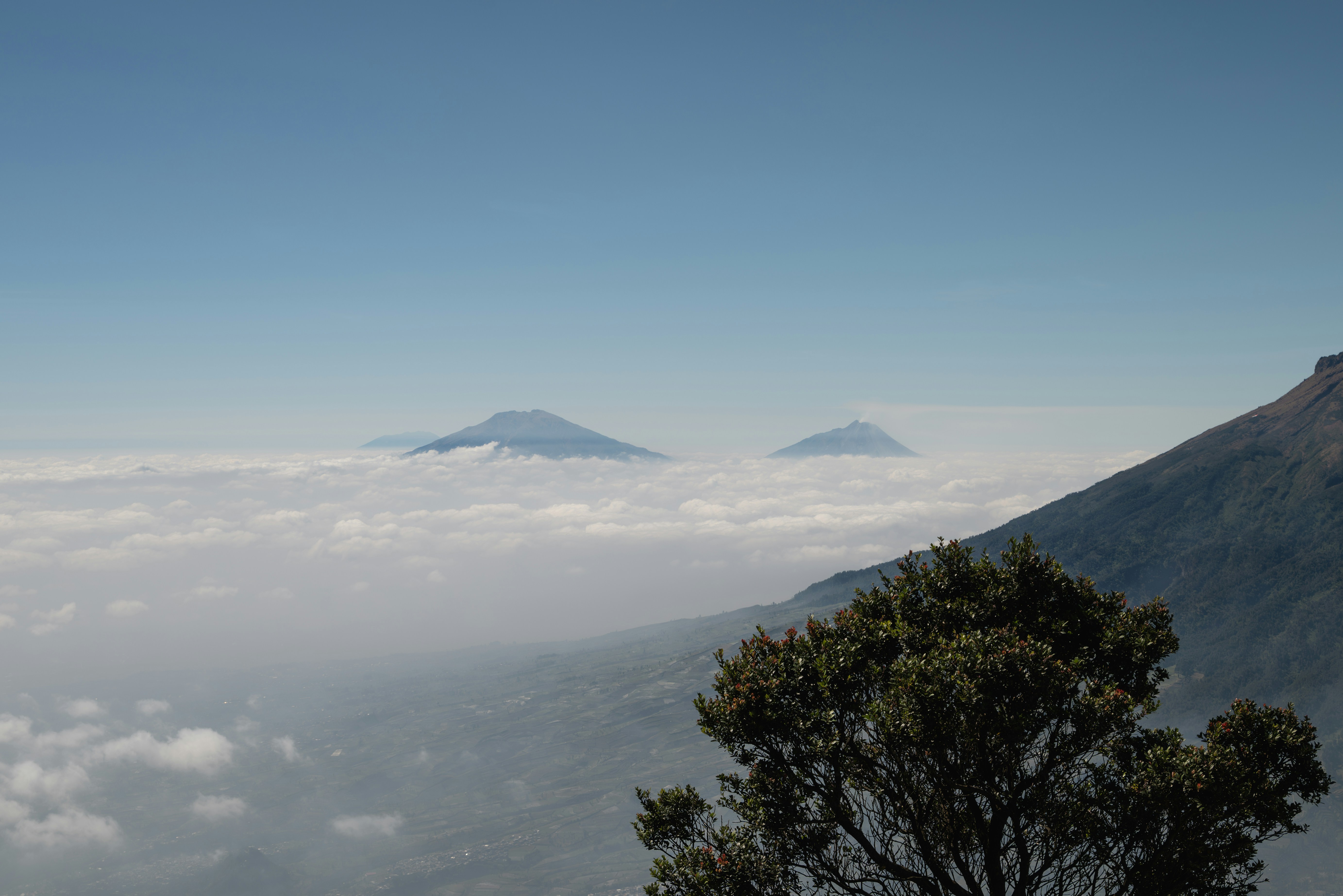 Distant volcanic peaks rising above a thick layer of clouds under a clear sky