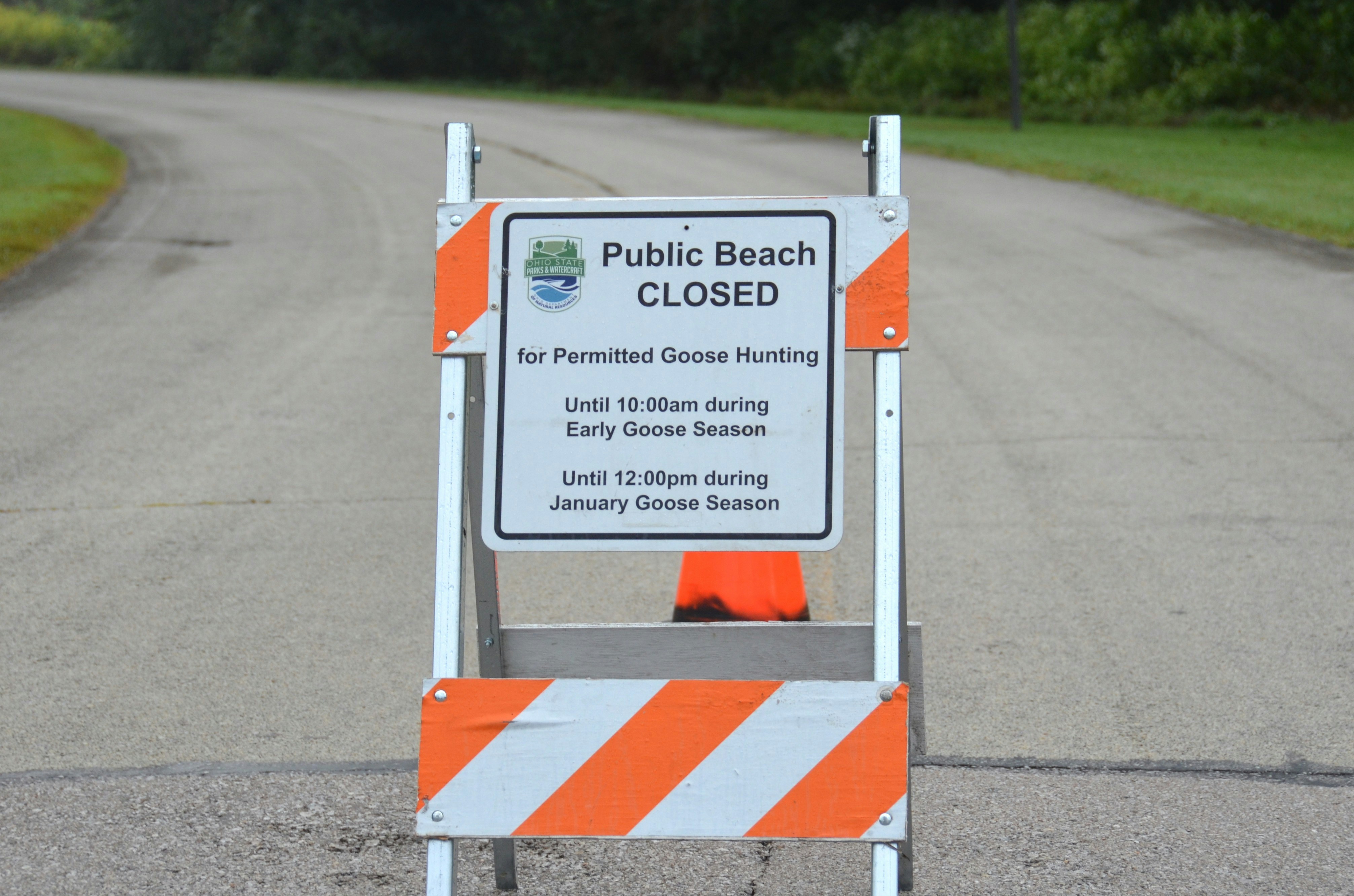 A sign reading Public Beach CLOSED for Permitted Goose Hunting on a road