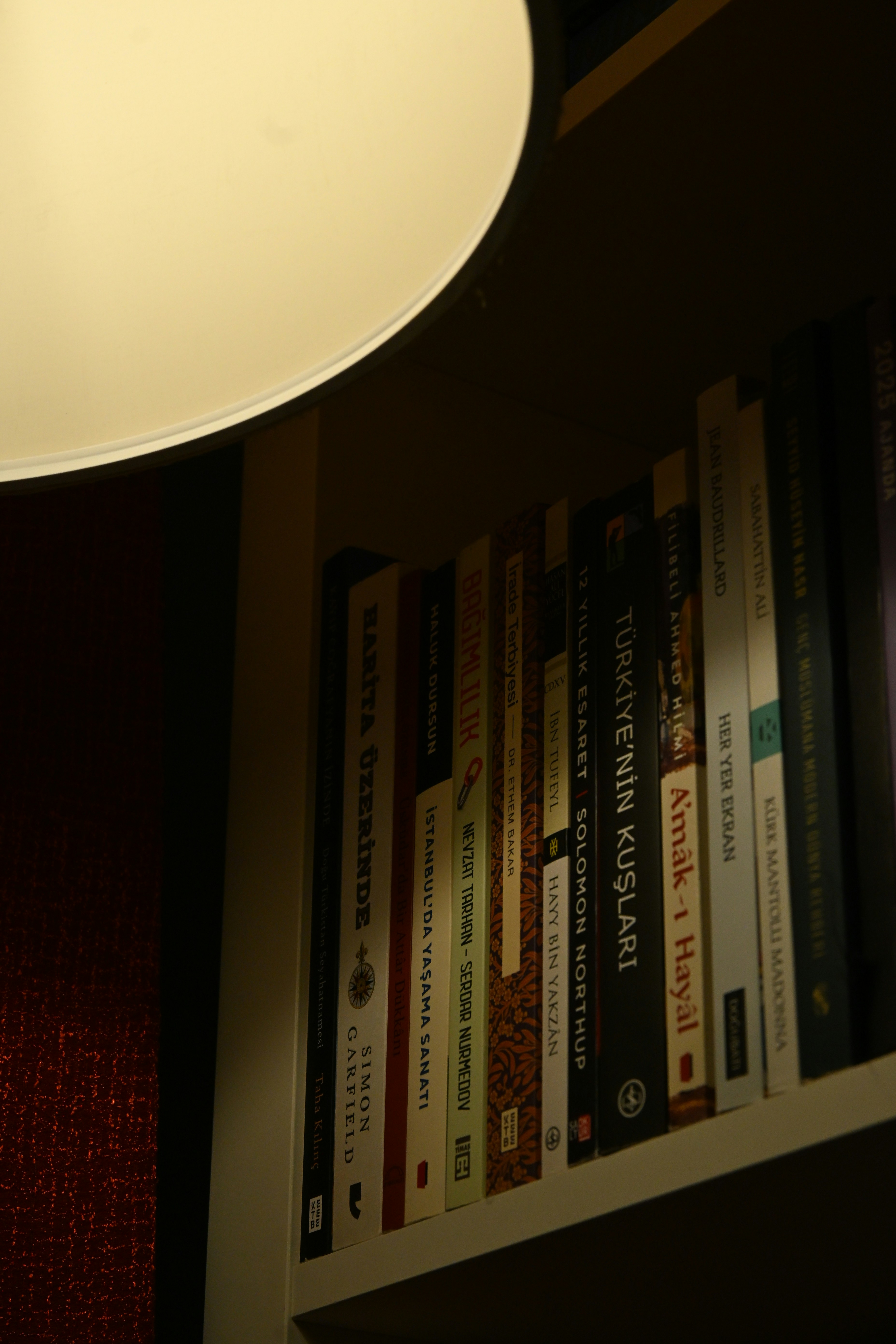 Una fila de libros en una estantería iluminada por una cálida lámpara de techo