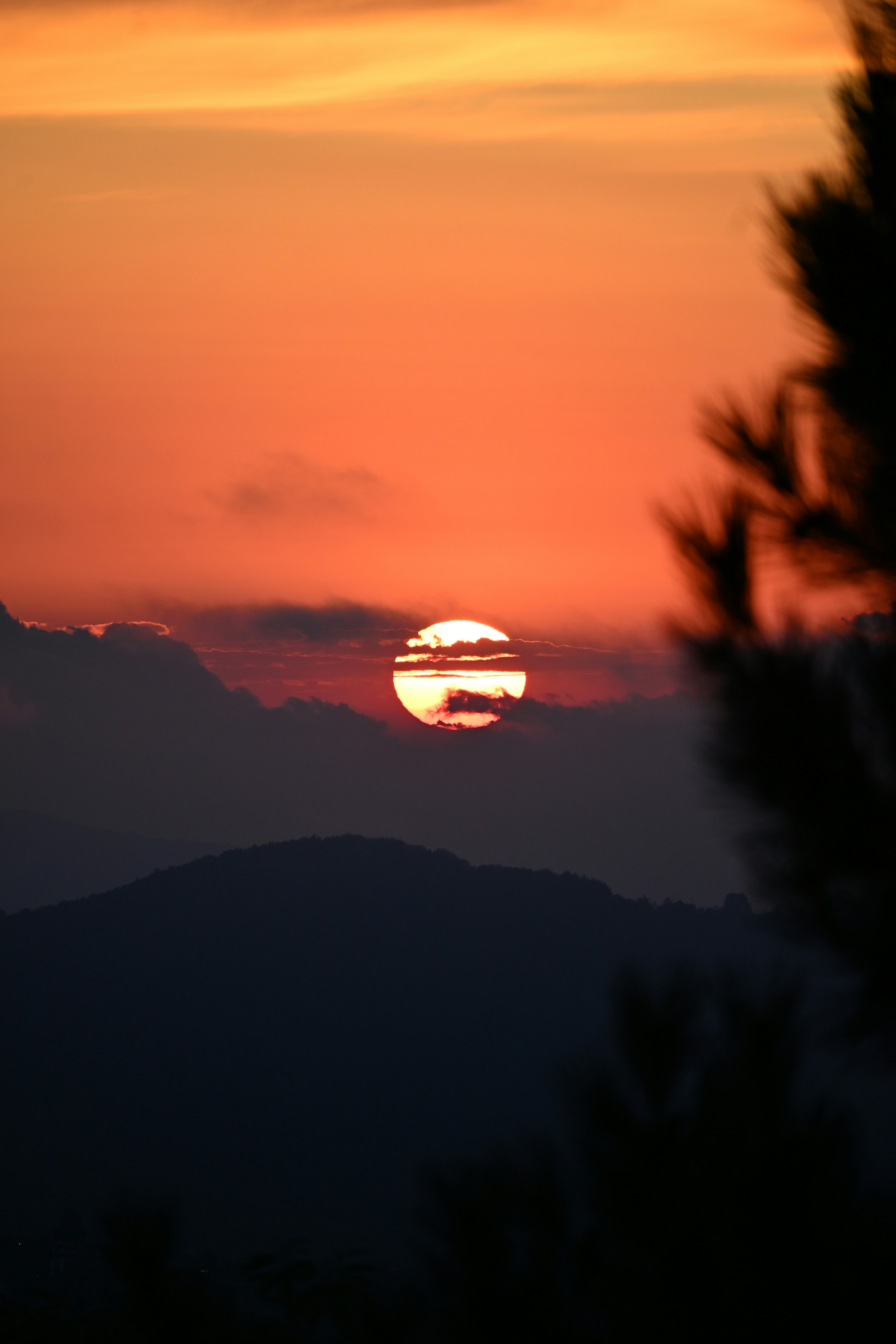 Sol bajo detrás de nubes oscuras sobre una silueta montañosa con agujas de pino en primer plano