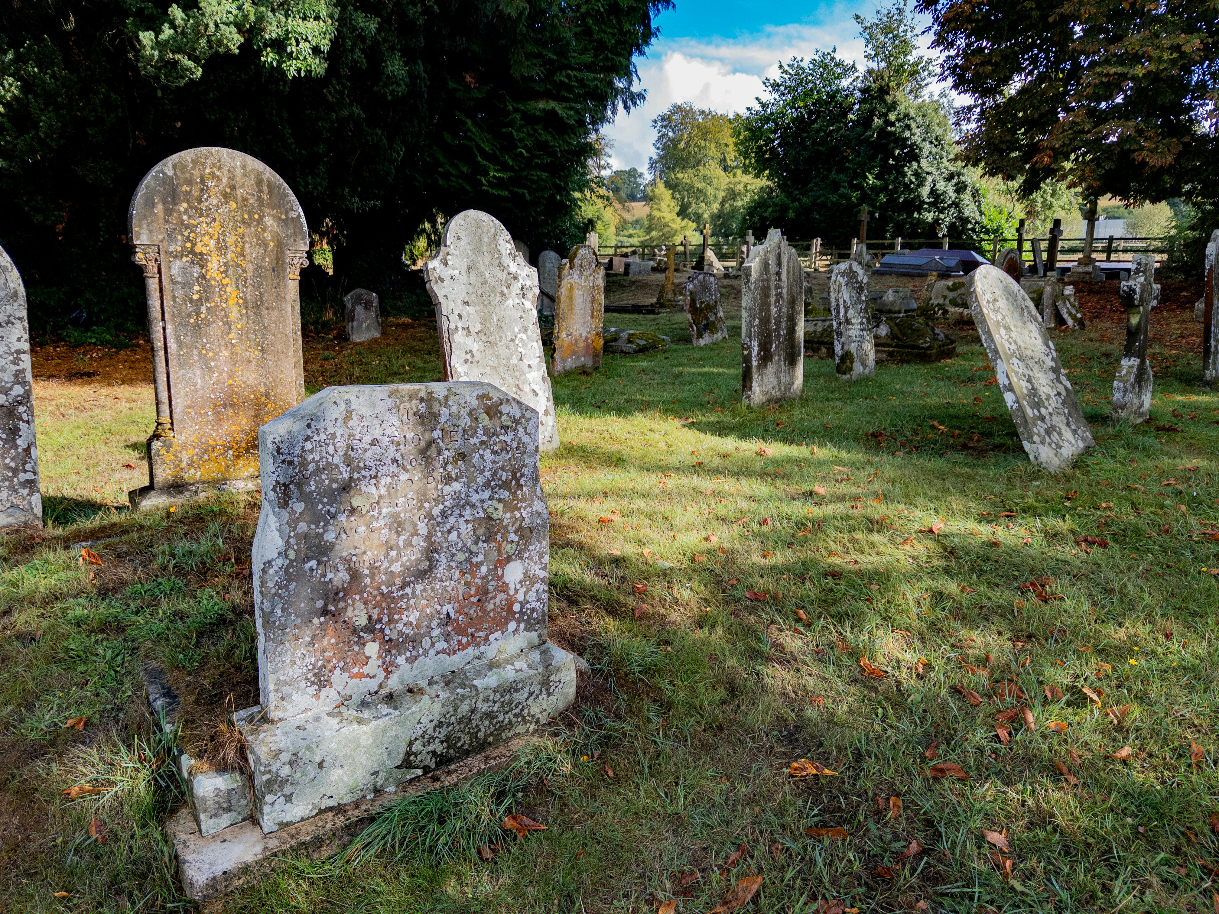 Weathered stone headstones in a grassy cemetery under trees with scattered autumn leaves