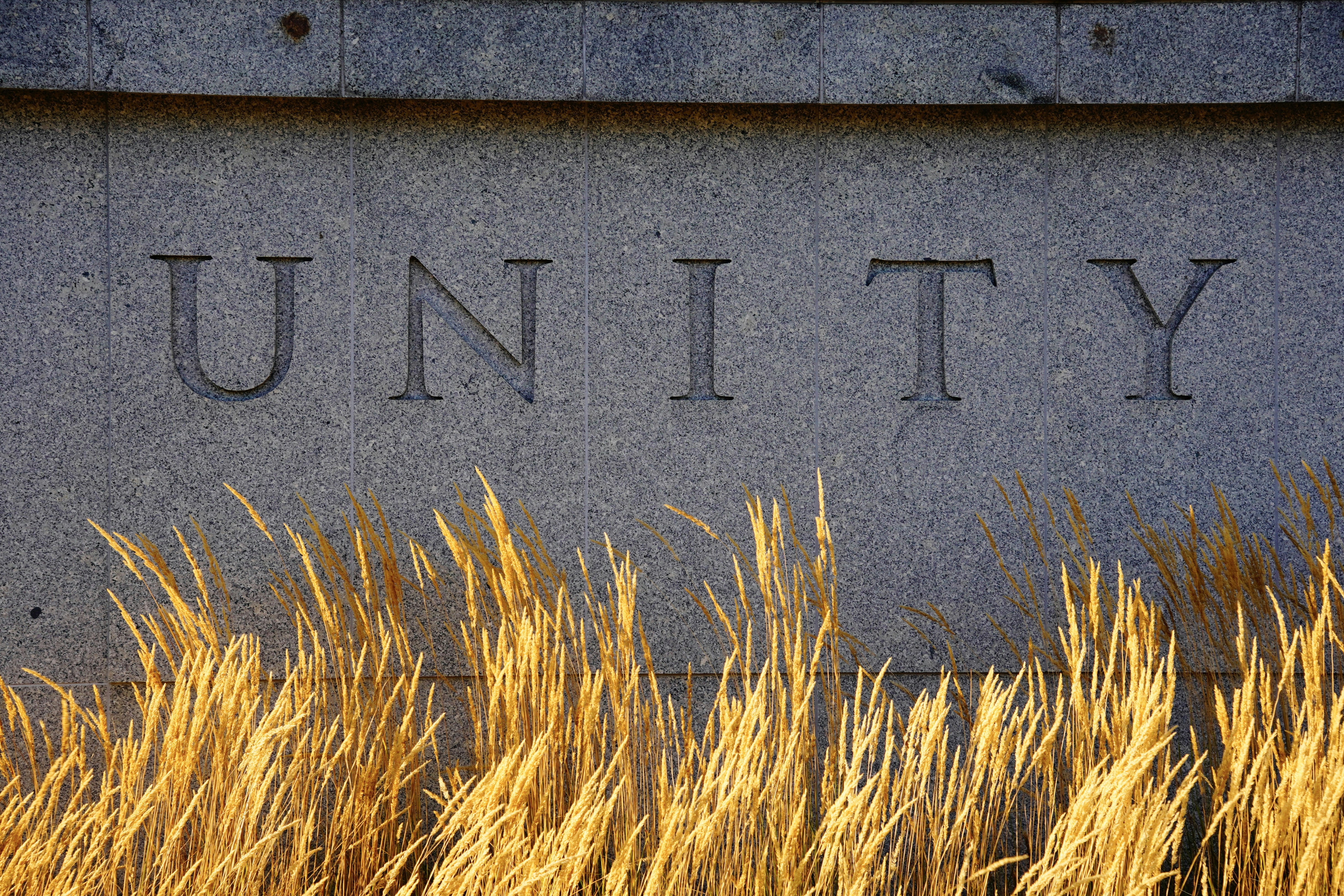 The word UNITY carved into a grey stone wall behind golden ornamental grasses