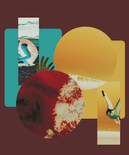 A collage of a person, a hand, a tree, and a bird on colored shapes
