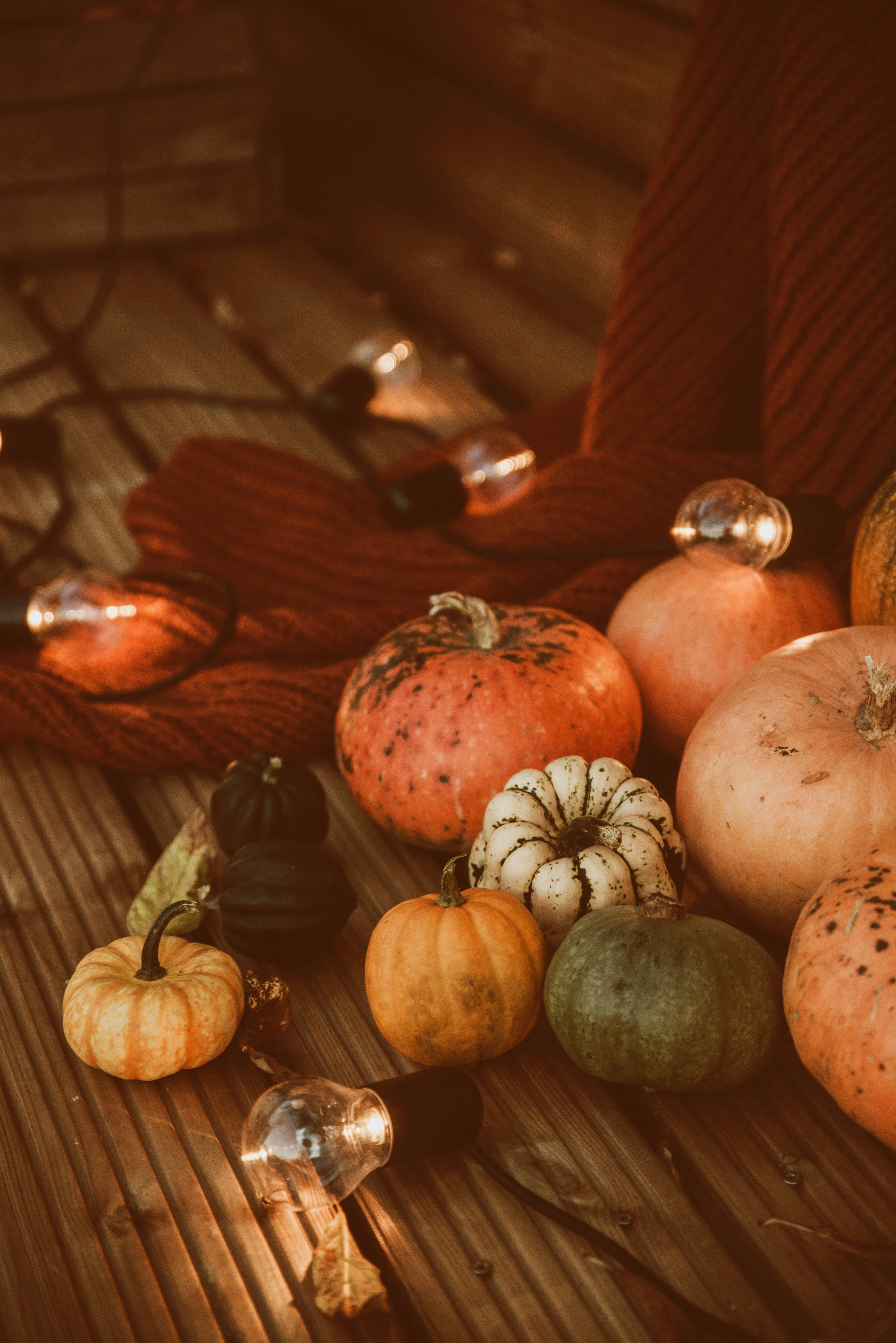 Assorted pumpkins and gourds on a wooden deck with string lights and a blanket