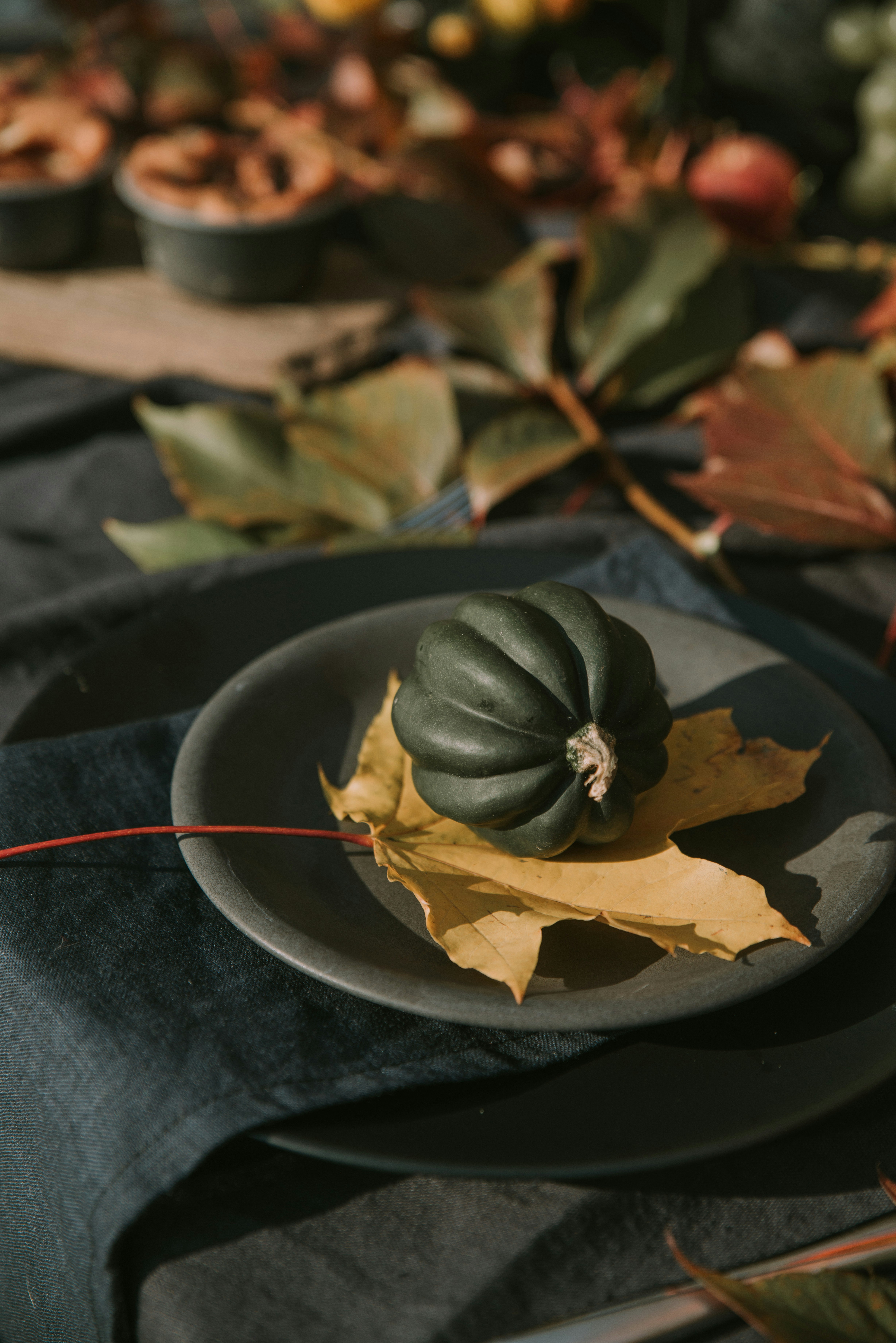 A dark green acorn squash on a yellow maple leaf atop a grey plate