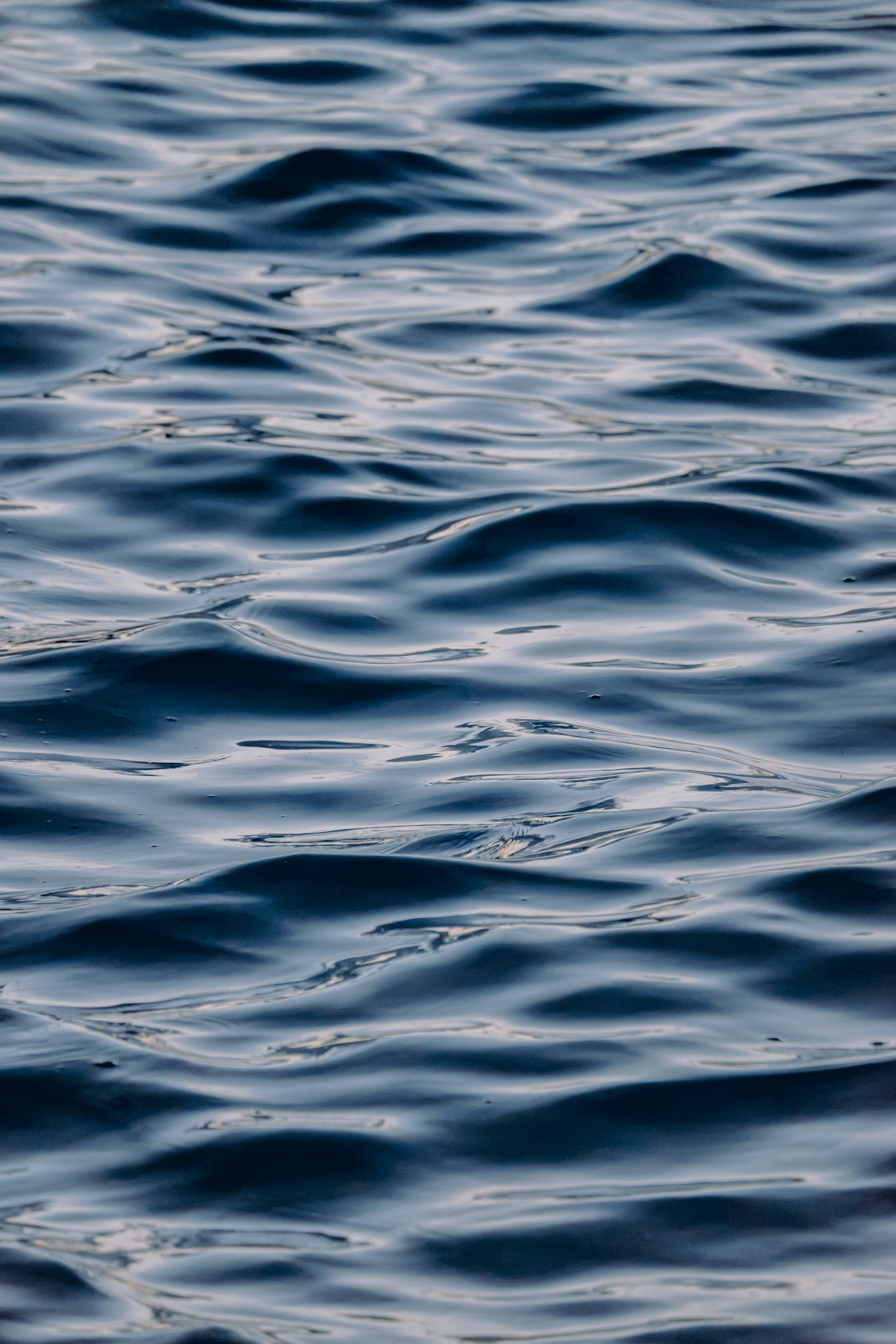 Dark blue water with gentle ripples and soft light reflections