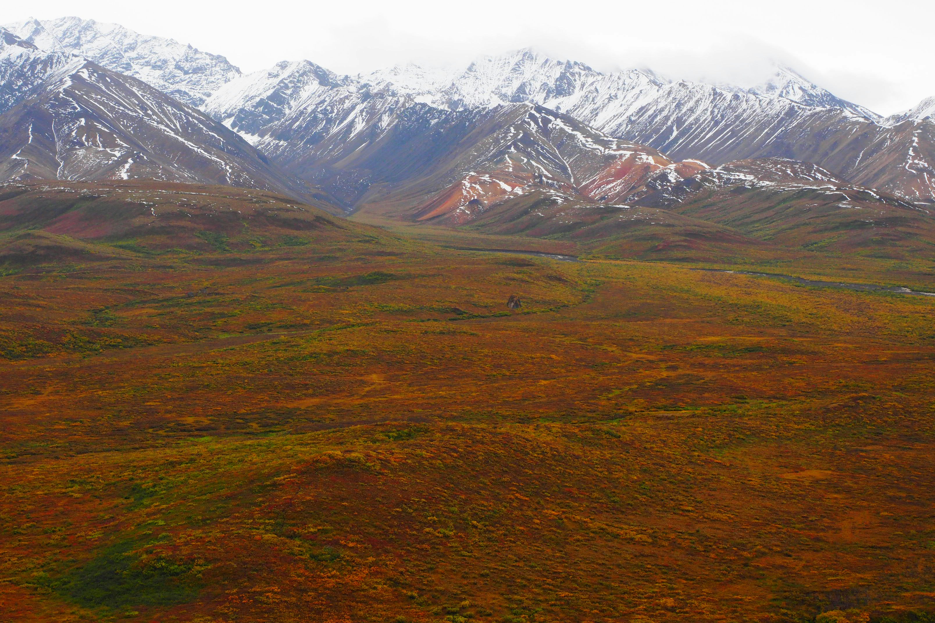 Snow-capped mountains rising above a vast tundra with autumn foliage in shades of red