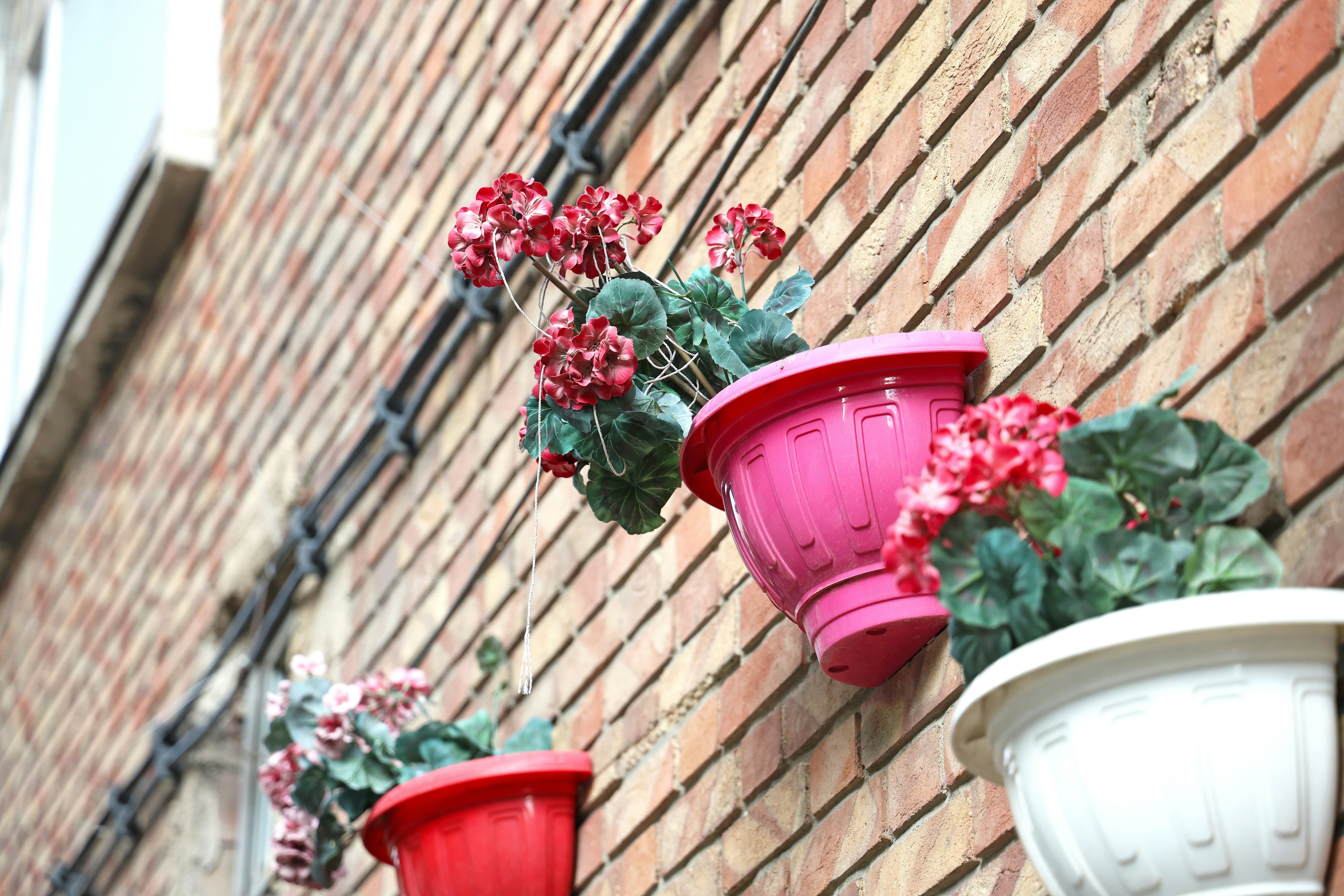 Red geraniums in colorful plastic pots mounted on a rustic brick wall