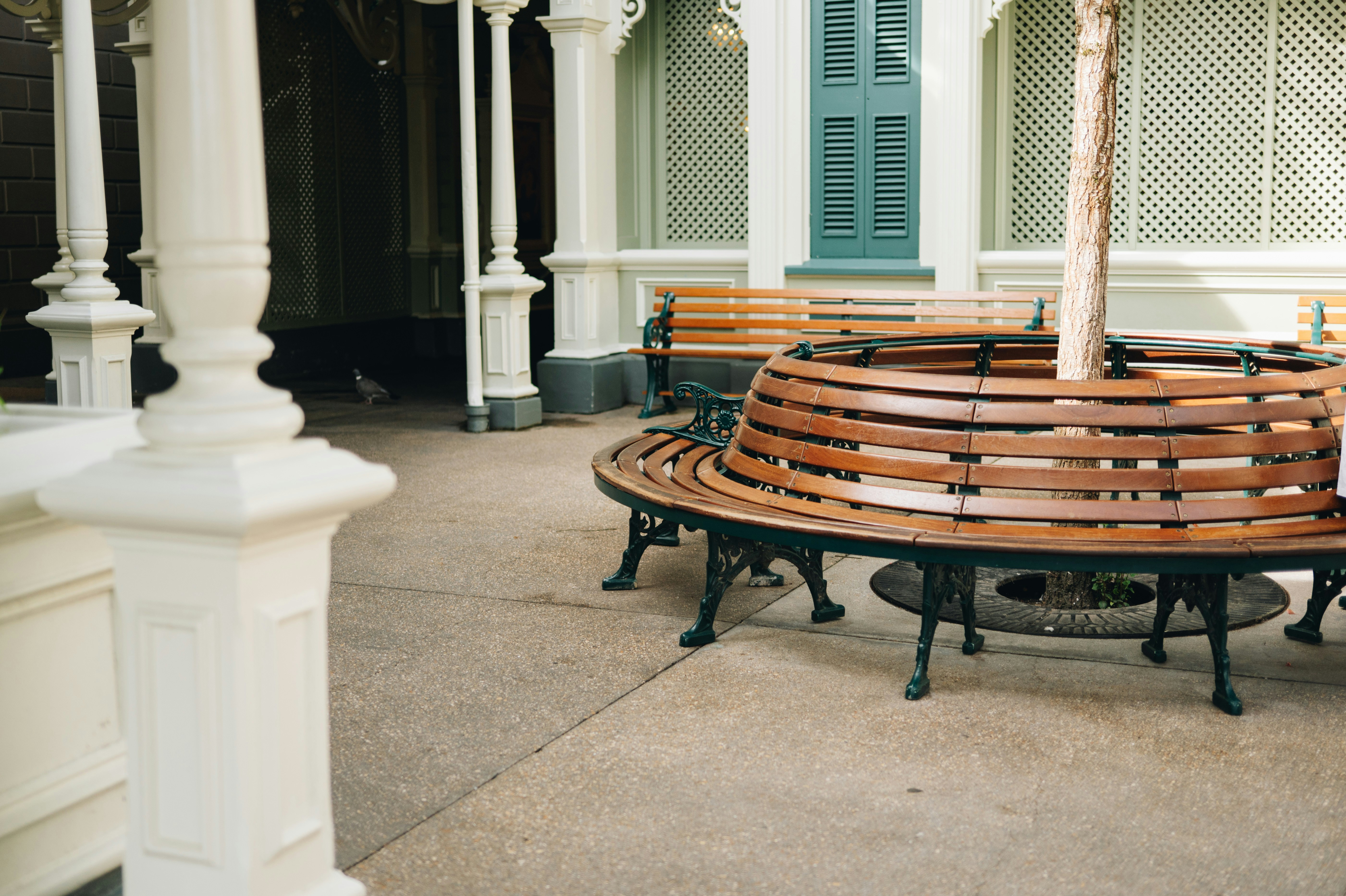 A circular wooden bench surrounding a tree on a paved patio