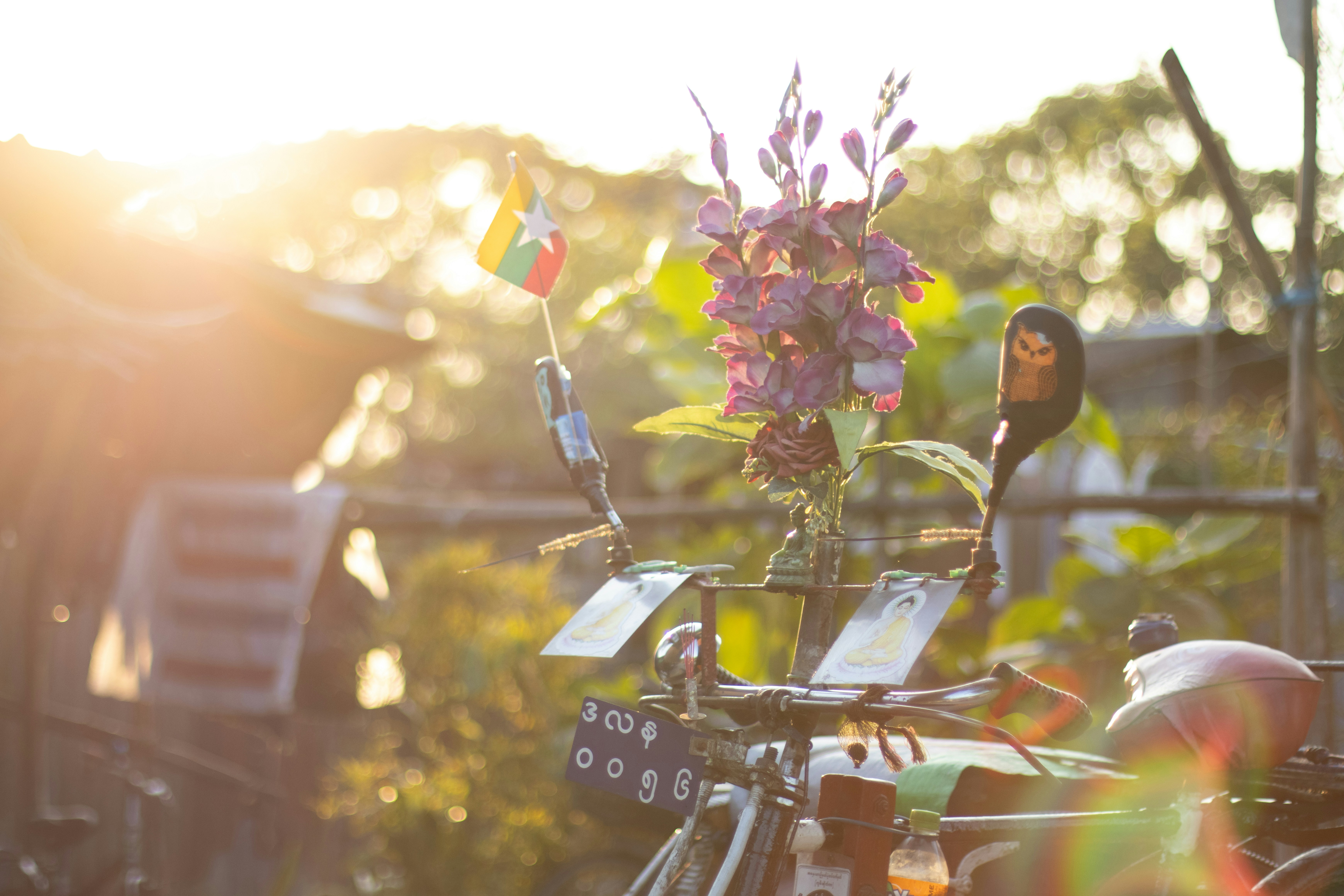 A bicycle decorated with purple flowers and a Myanmar flag in golden hour light