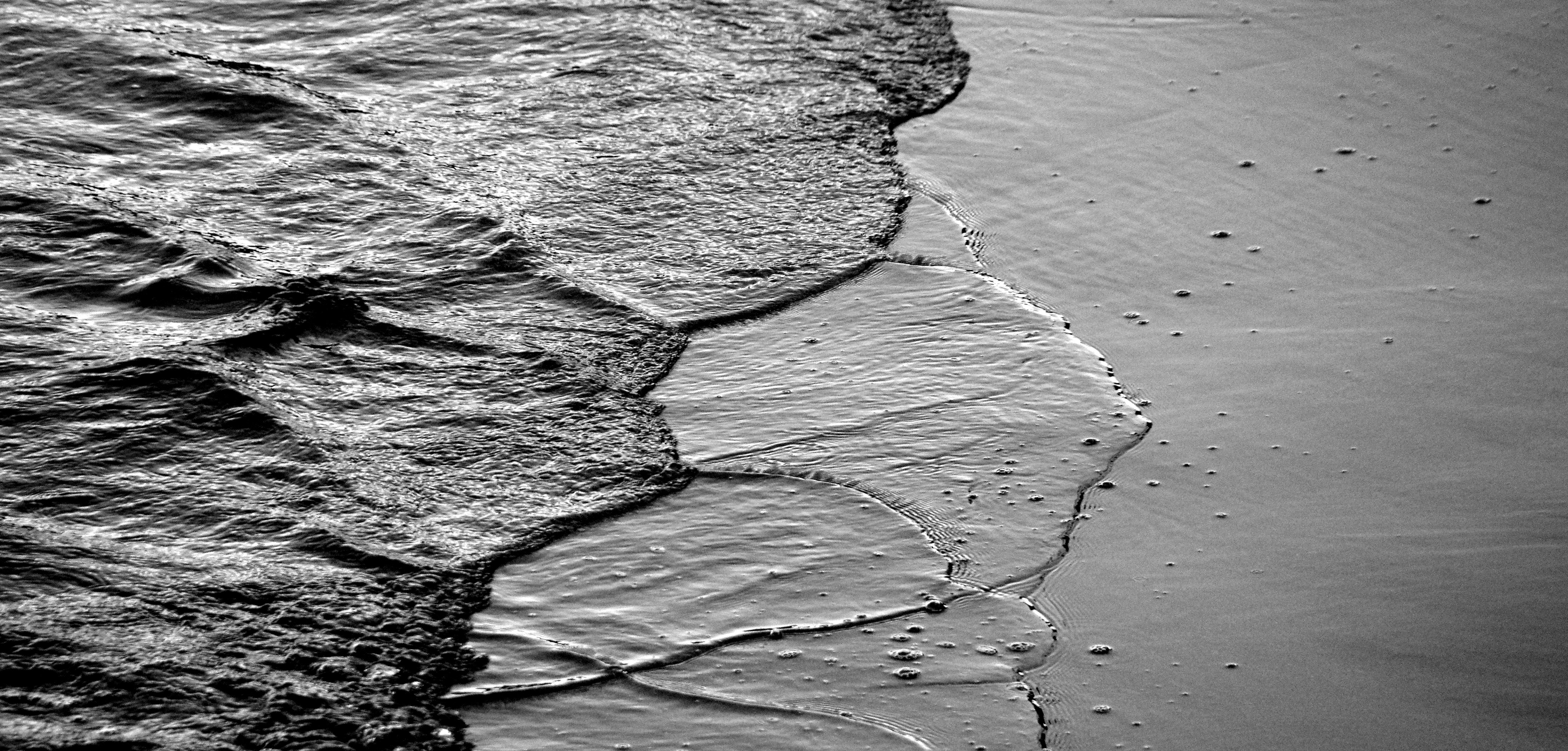 Black and white waves washing over wet sand on a beach