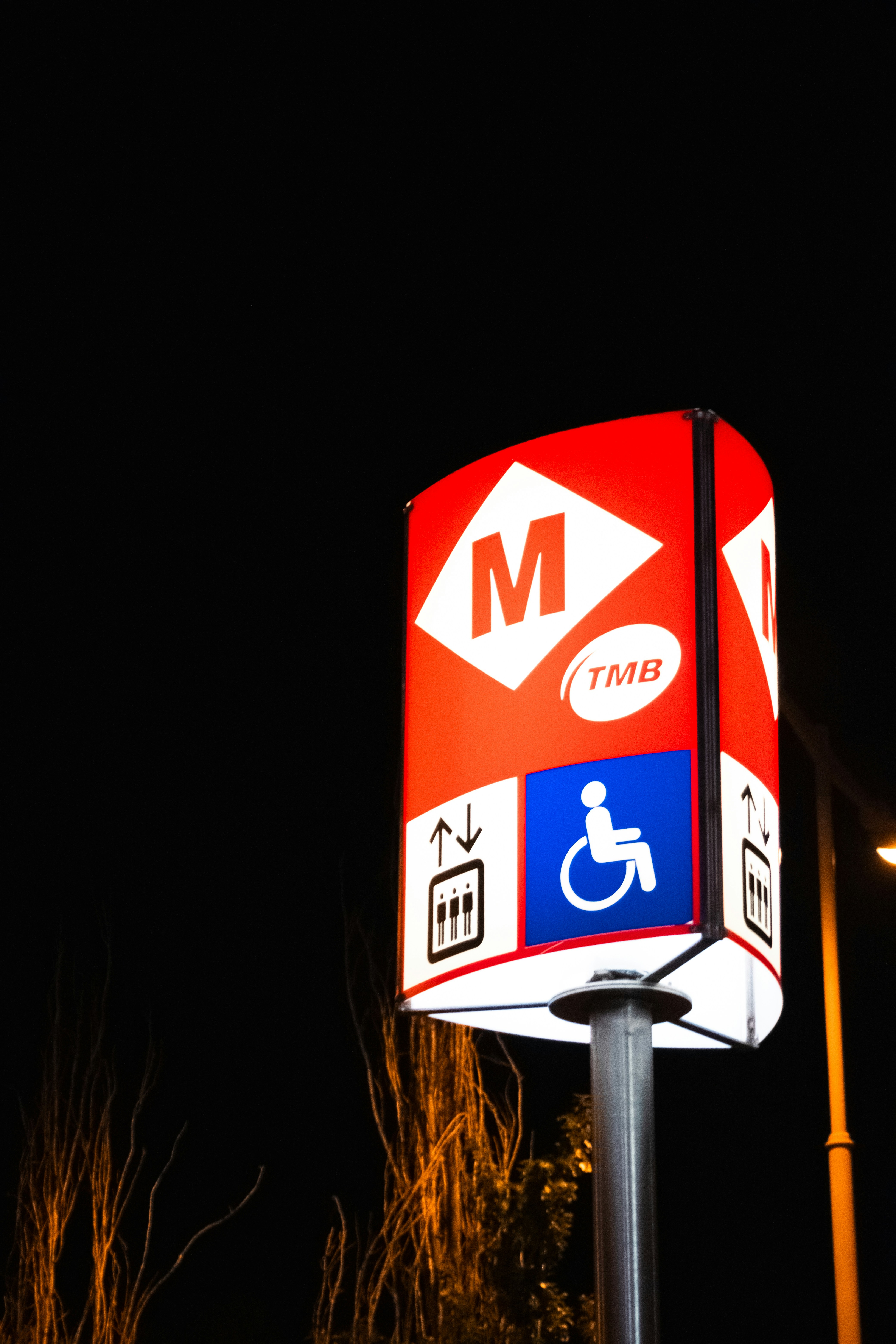 The Bus Network — Local Lines, Fares, and How to Use Them