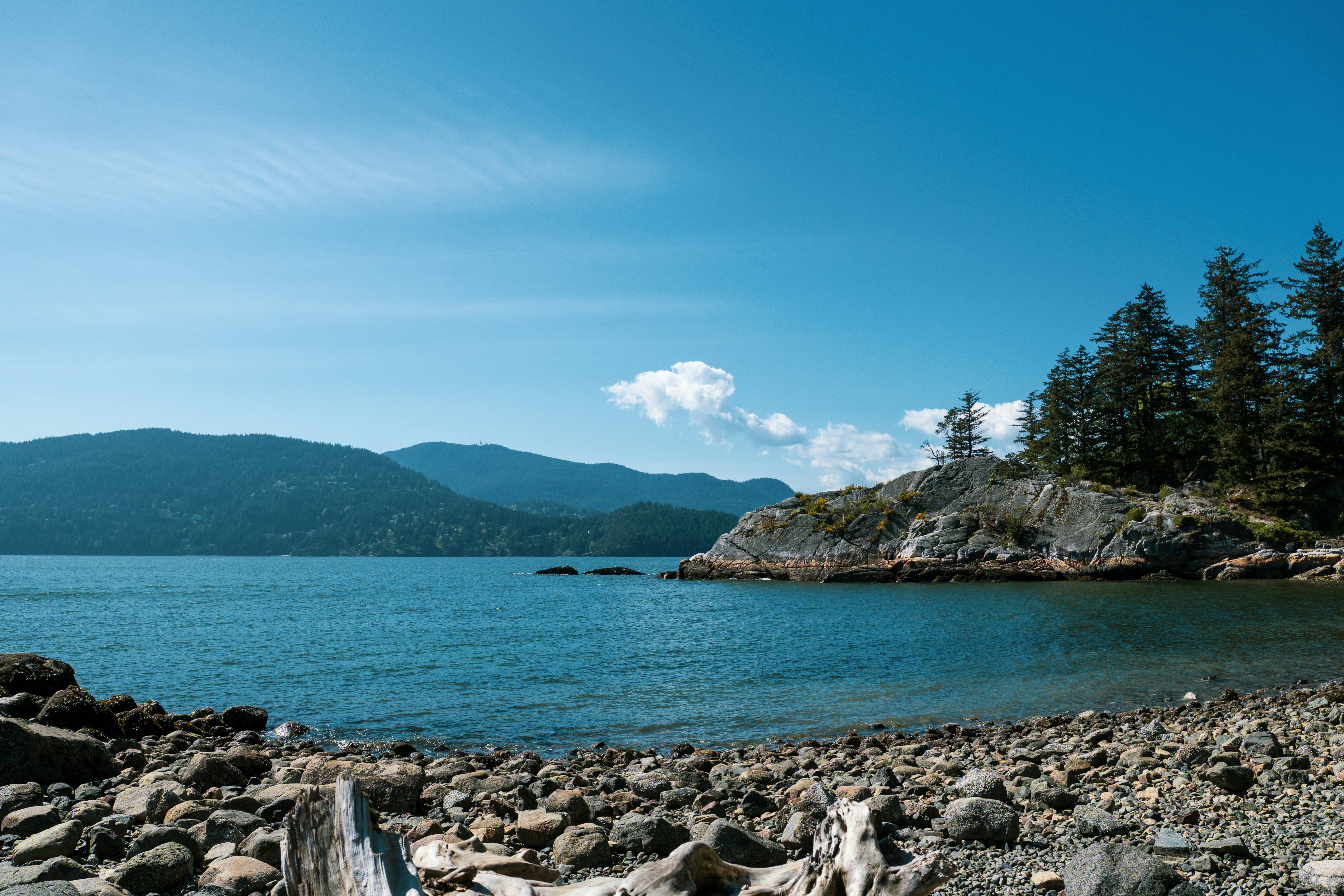 A rocky beach with driftwood in the foreground overlooking a calm blue bay