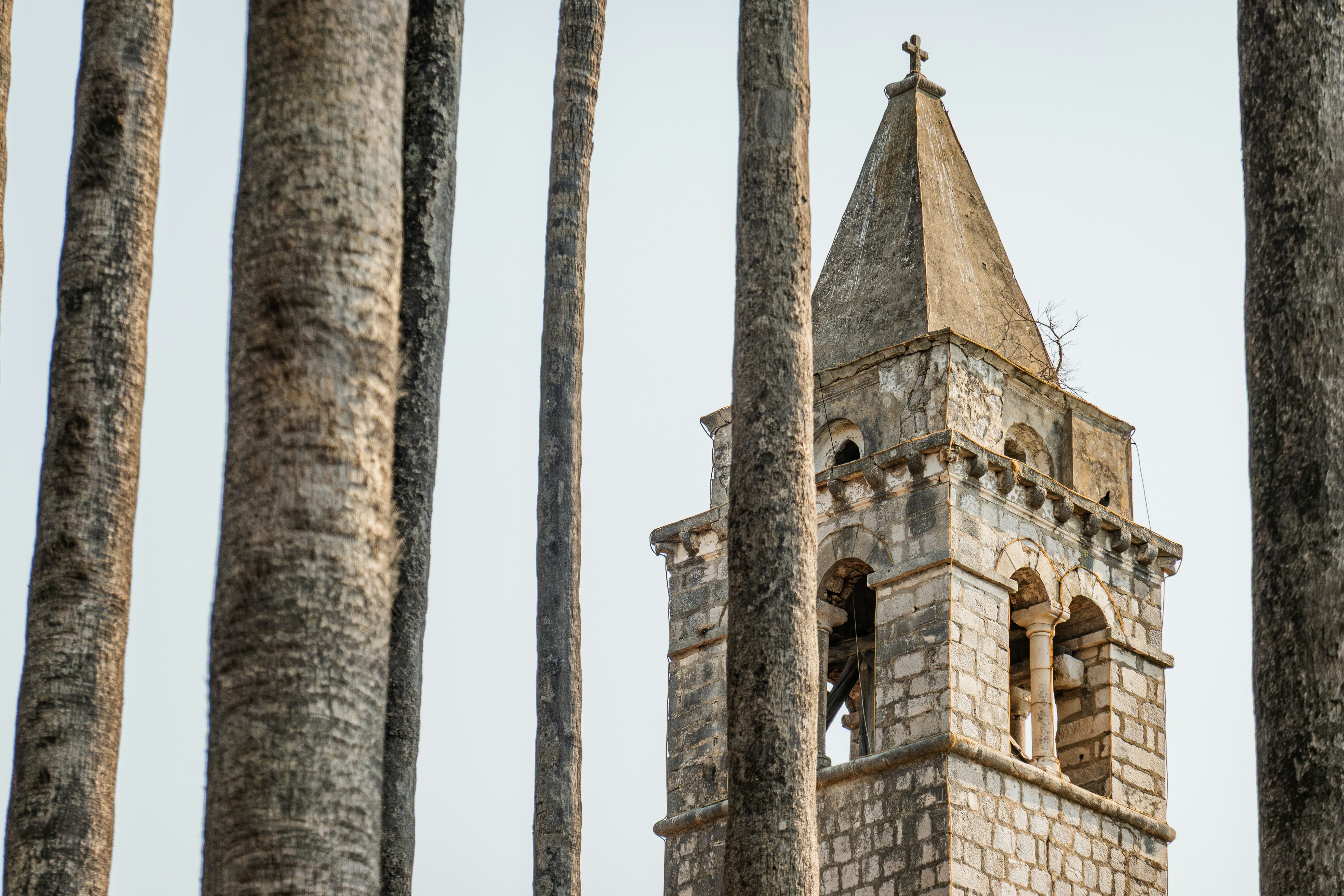 A stone bell tower framed by tall palm tree trunks against a pale sky