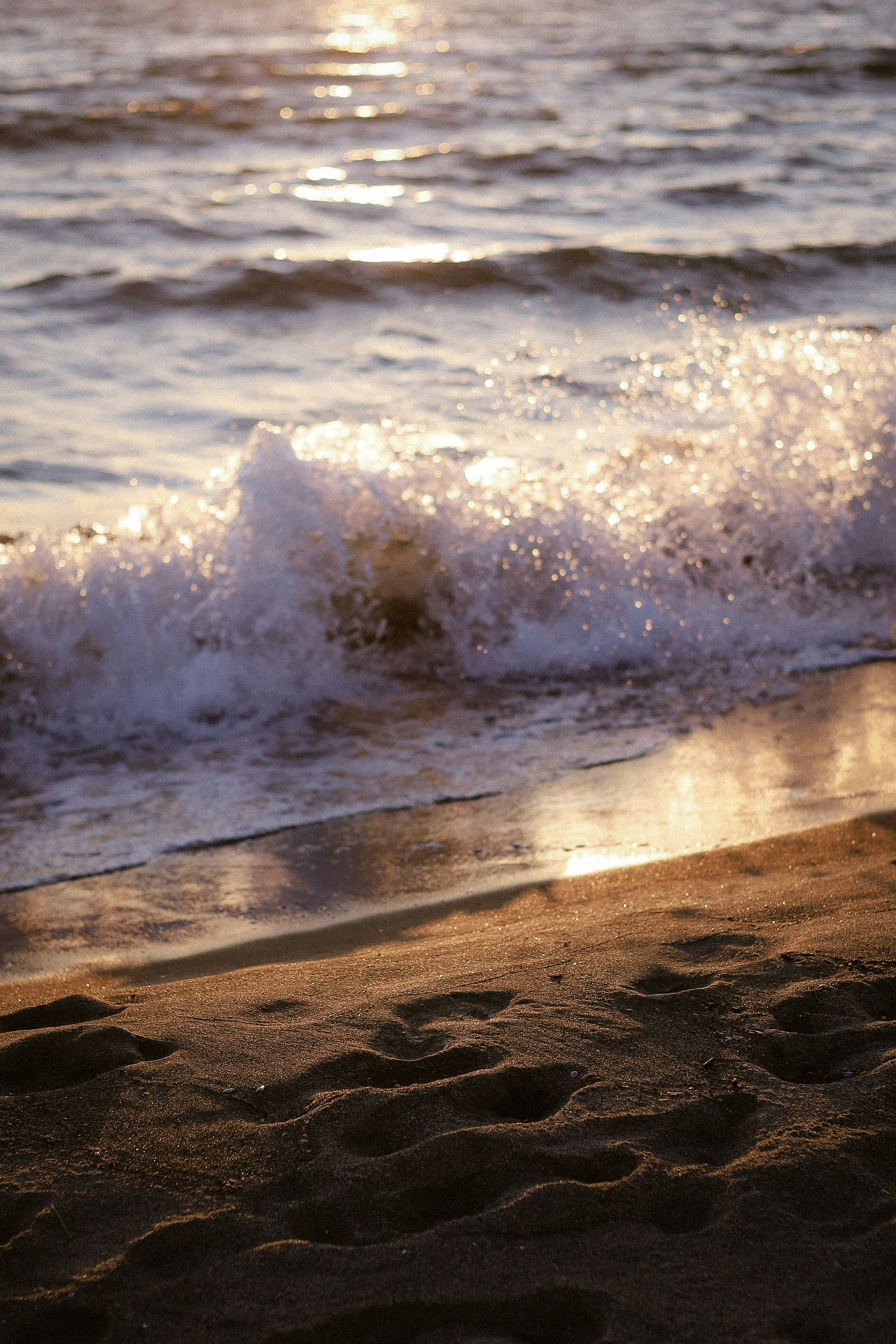 A wave breaking on a sandy beach during the golden hour