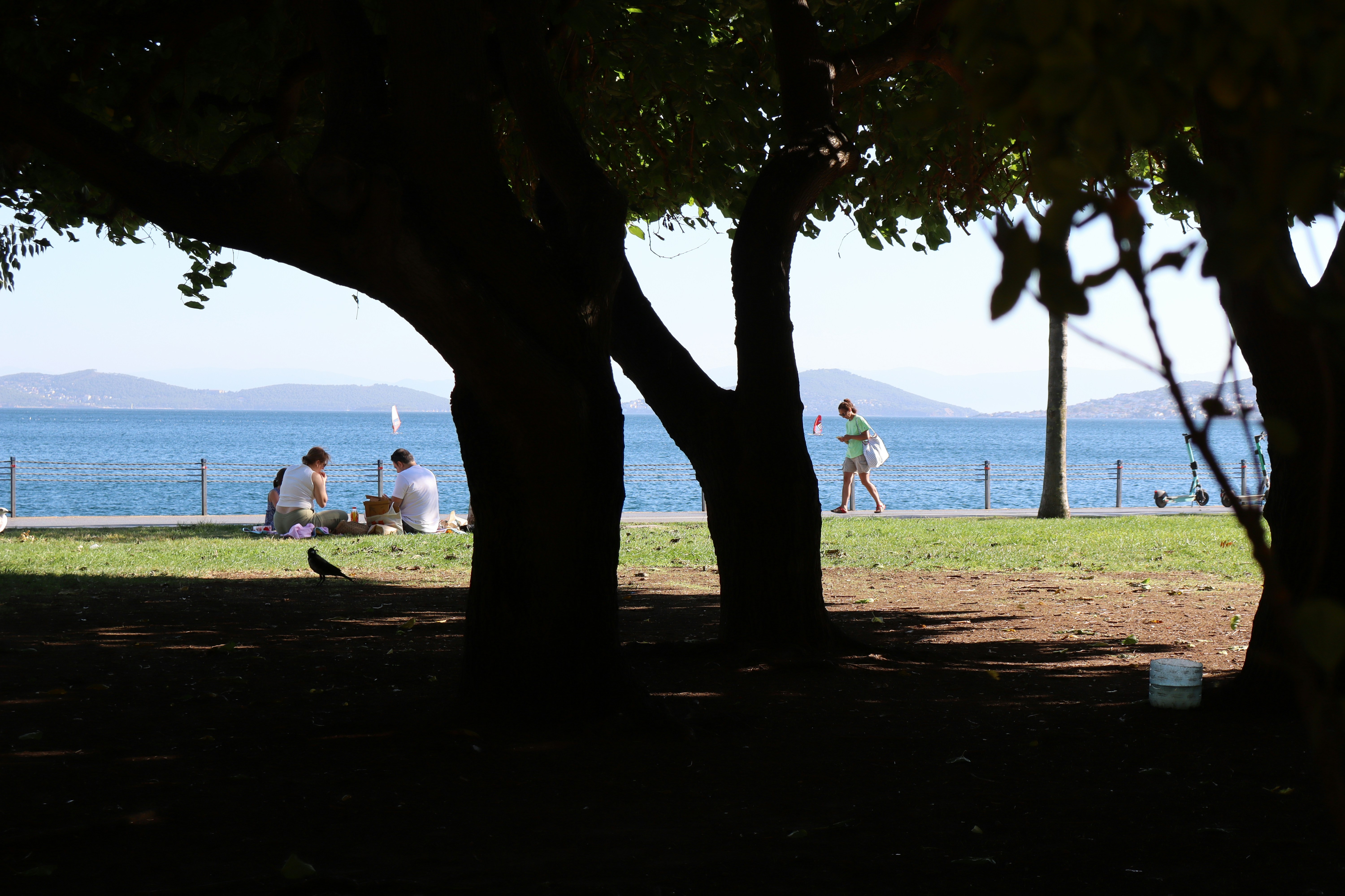 Illustration of a summertime community picnic at a waterfront park with trees, tents and a lakeside beach.