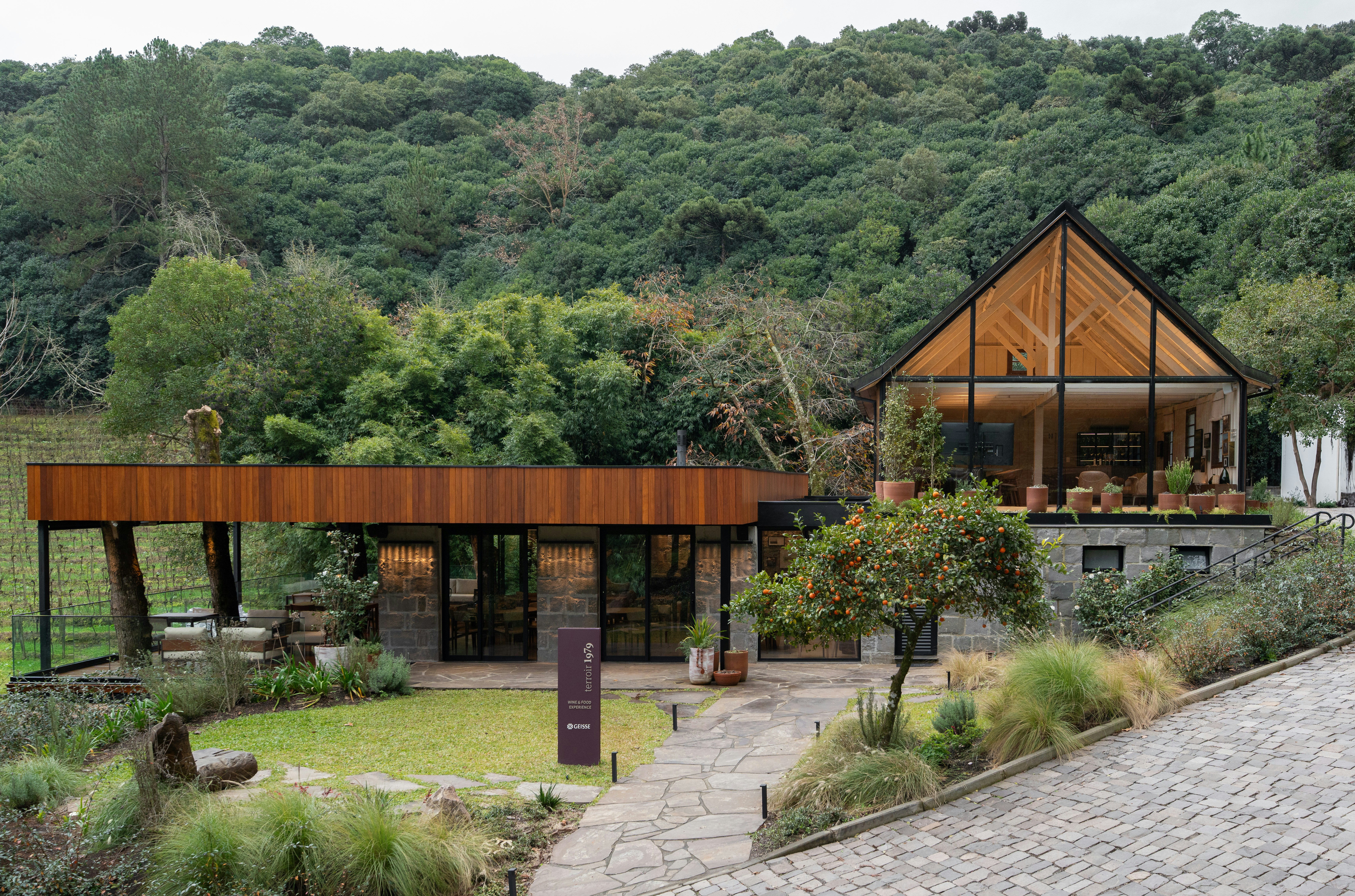 Modern building nestled in forest - Free Photo on Unsplash