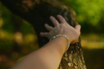 A hand with a beaded bracelet resting on a textured tree trunk