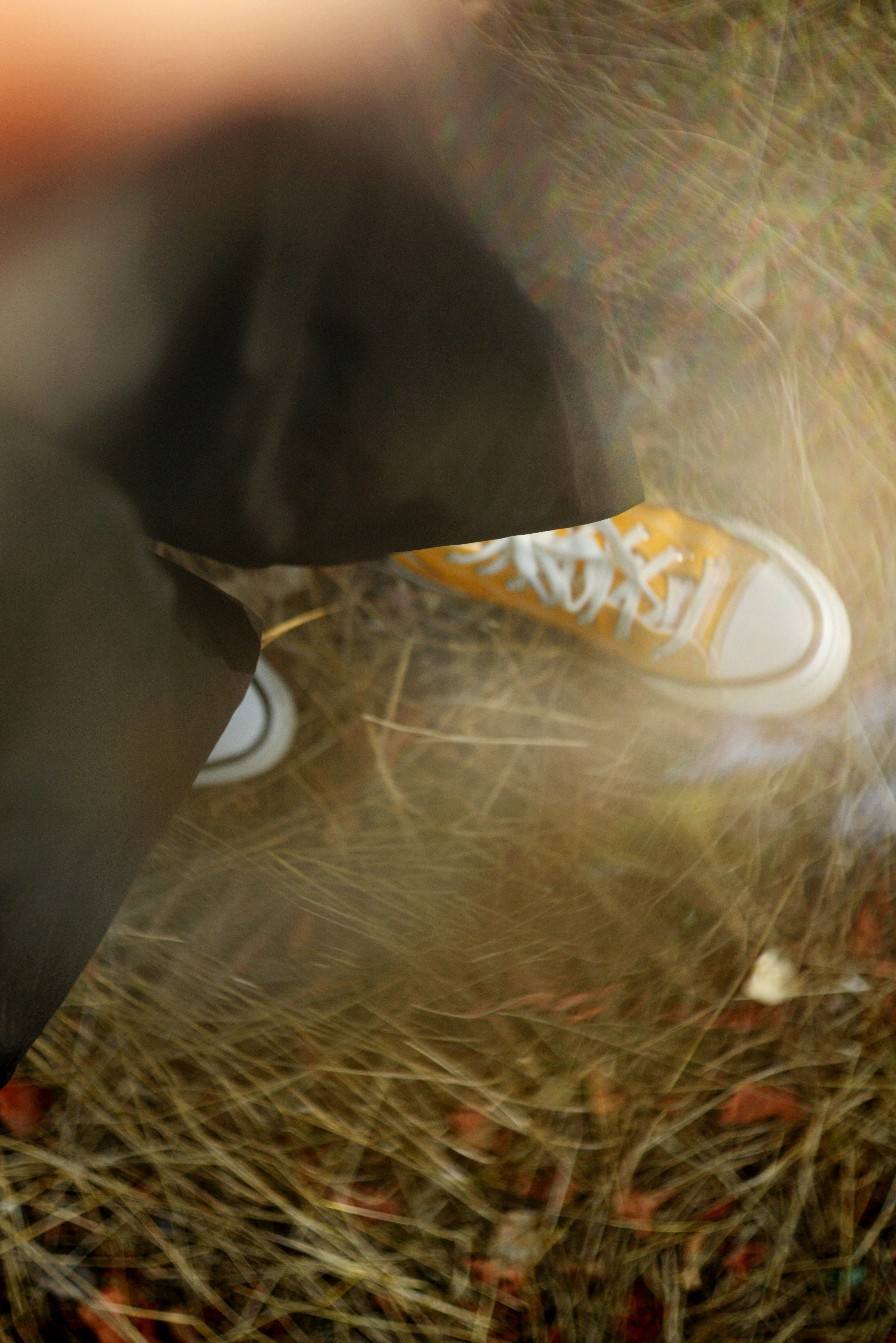 A person wearing yellow canvas sneakers standing on dry grass in soft light