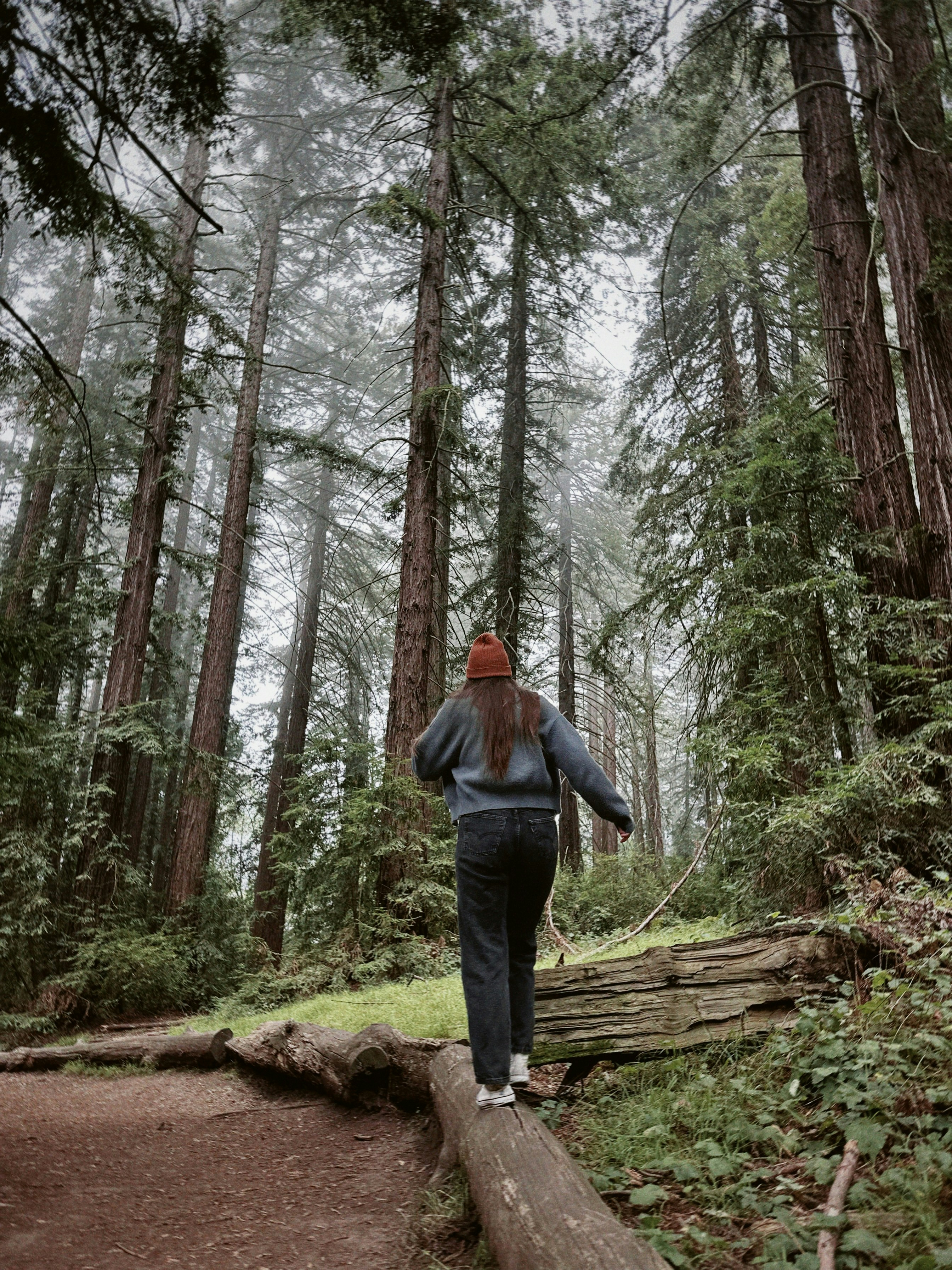 Uma pessoa de gorro caminhando sobre um tronco caído em uma floresta enevoada