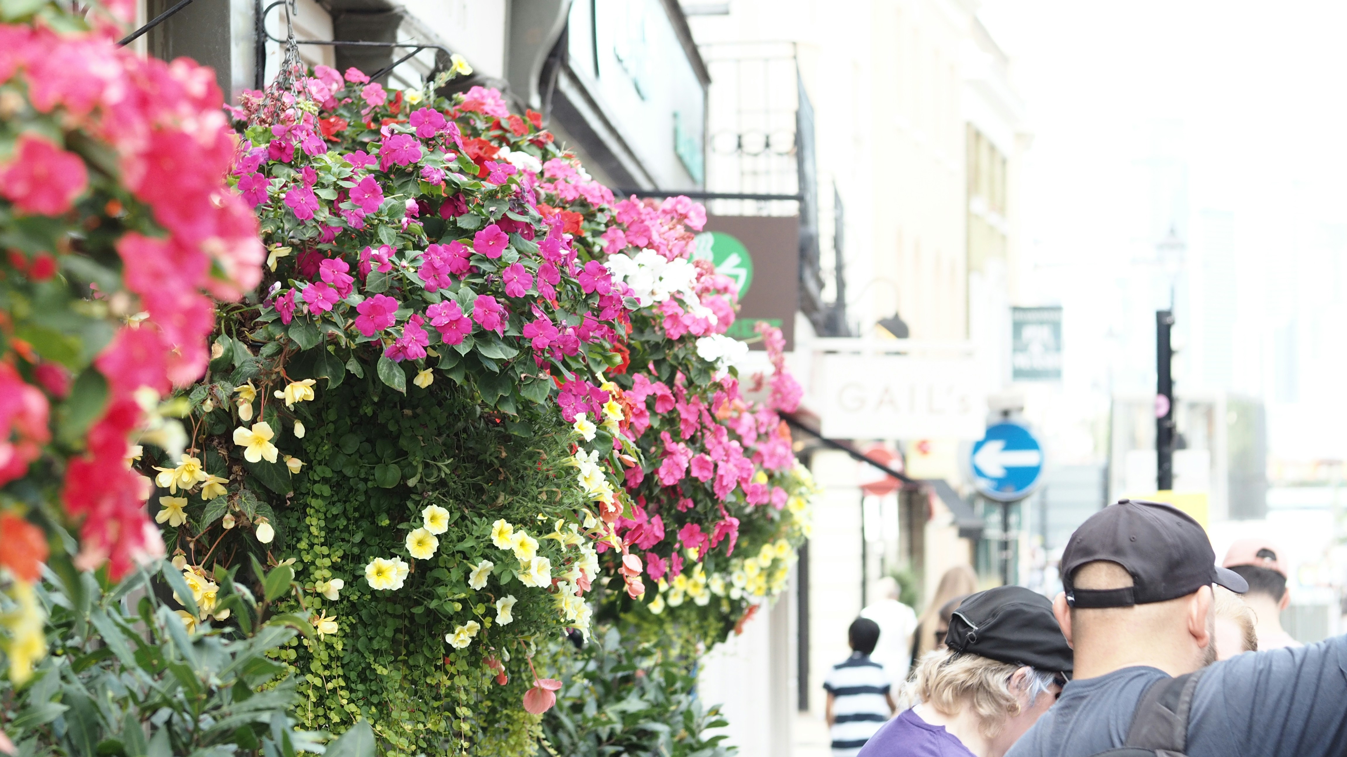 Cestos pendurados de flores rosas e amarelas em uma rua movimentada da cidade