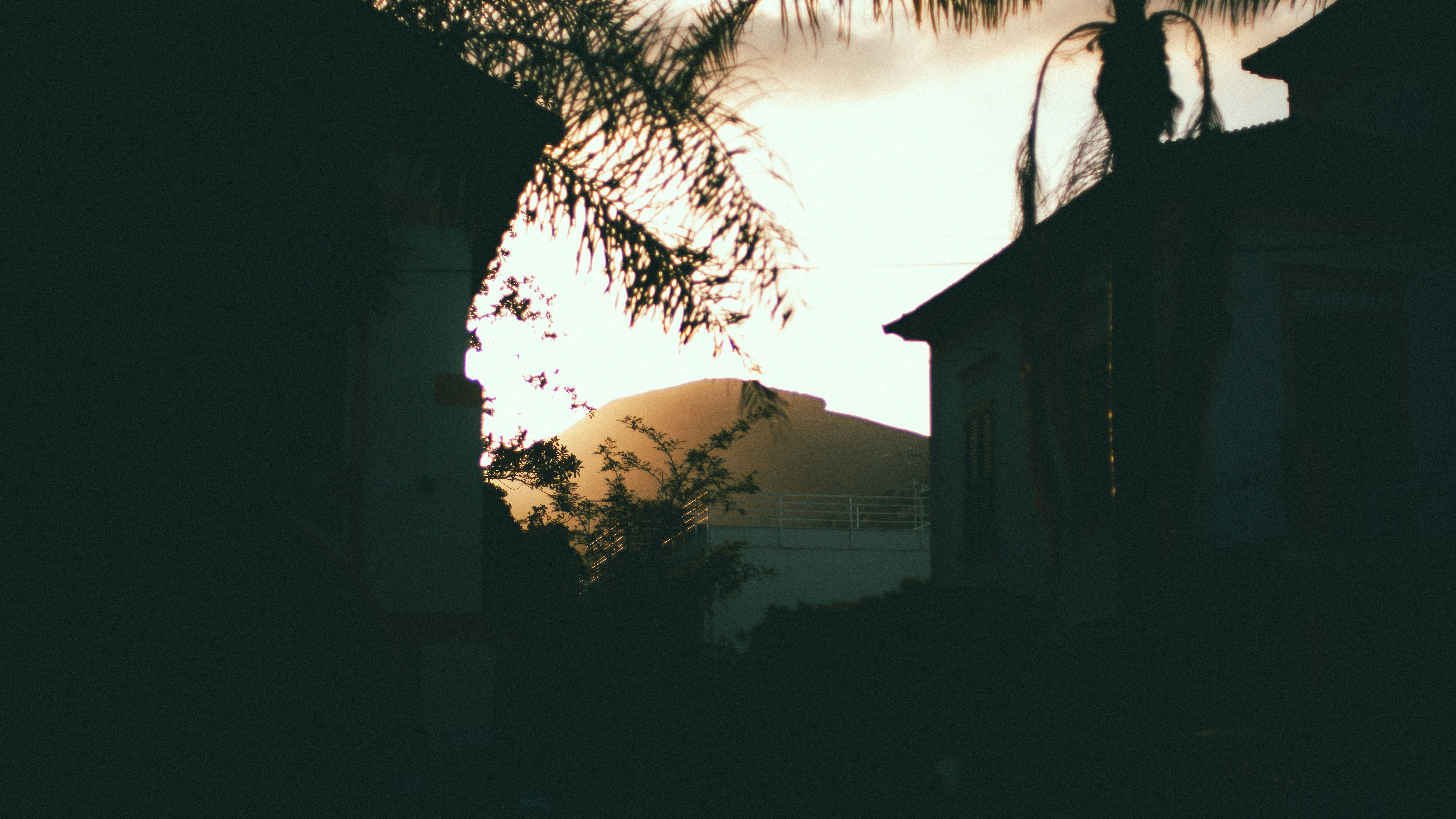 Silhouetted buildings and palm fronds framing a distant mountain under a warm sky