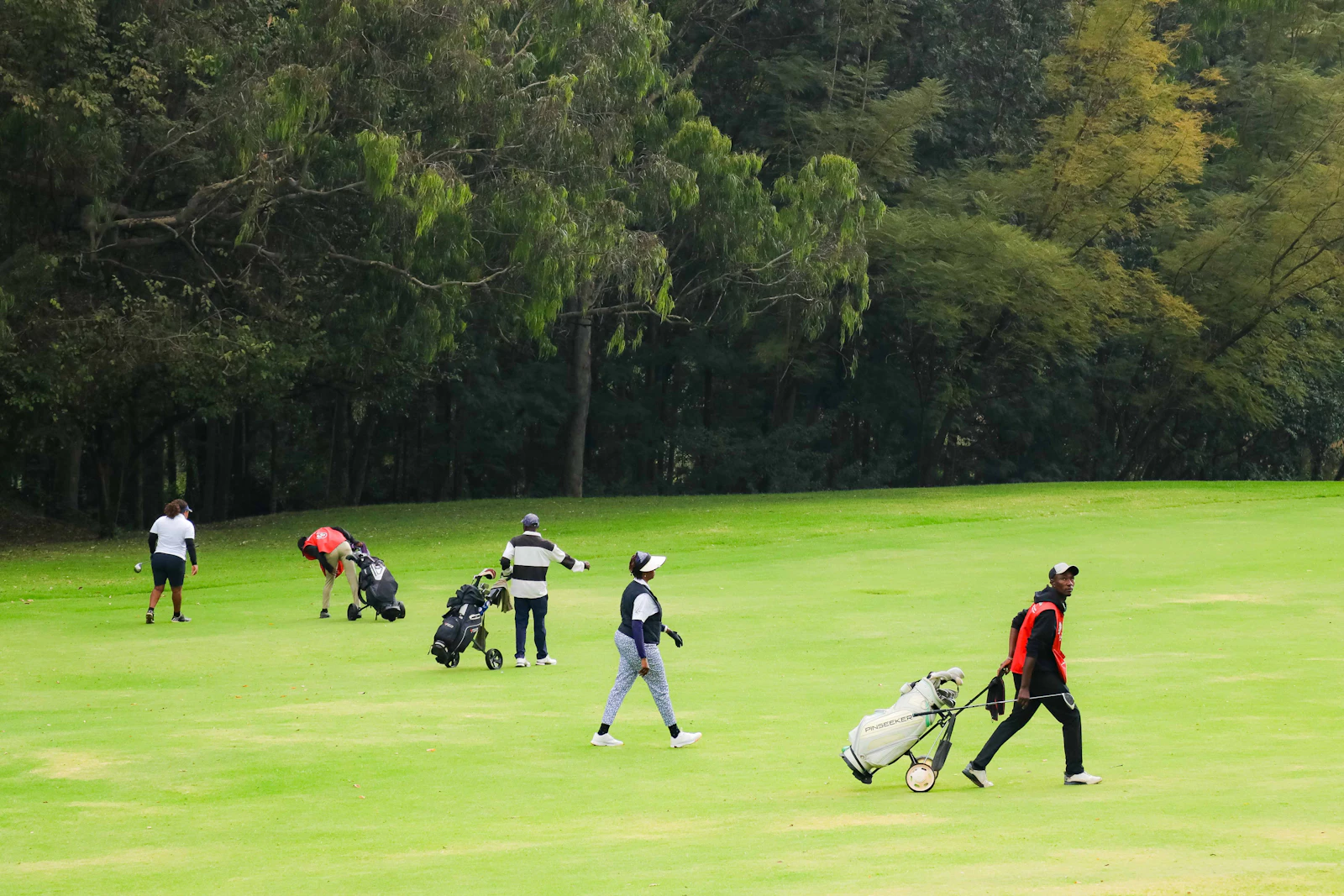 A group of golfers walking down a fairway with their bags and trolleys