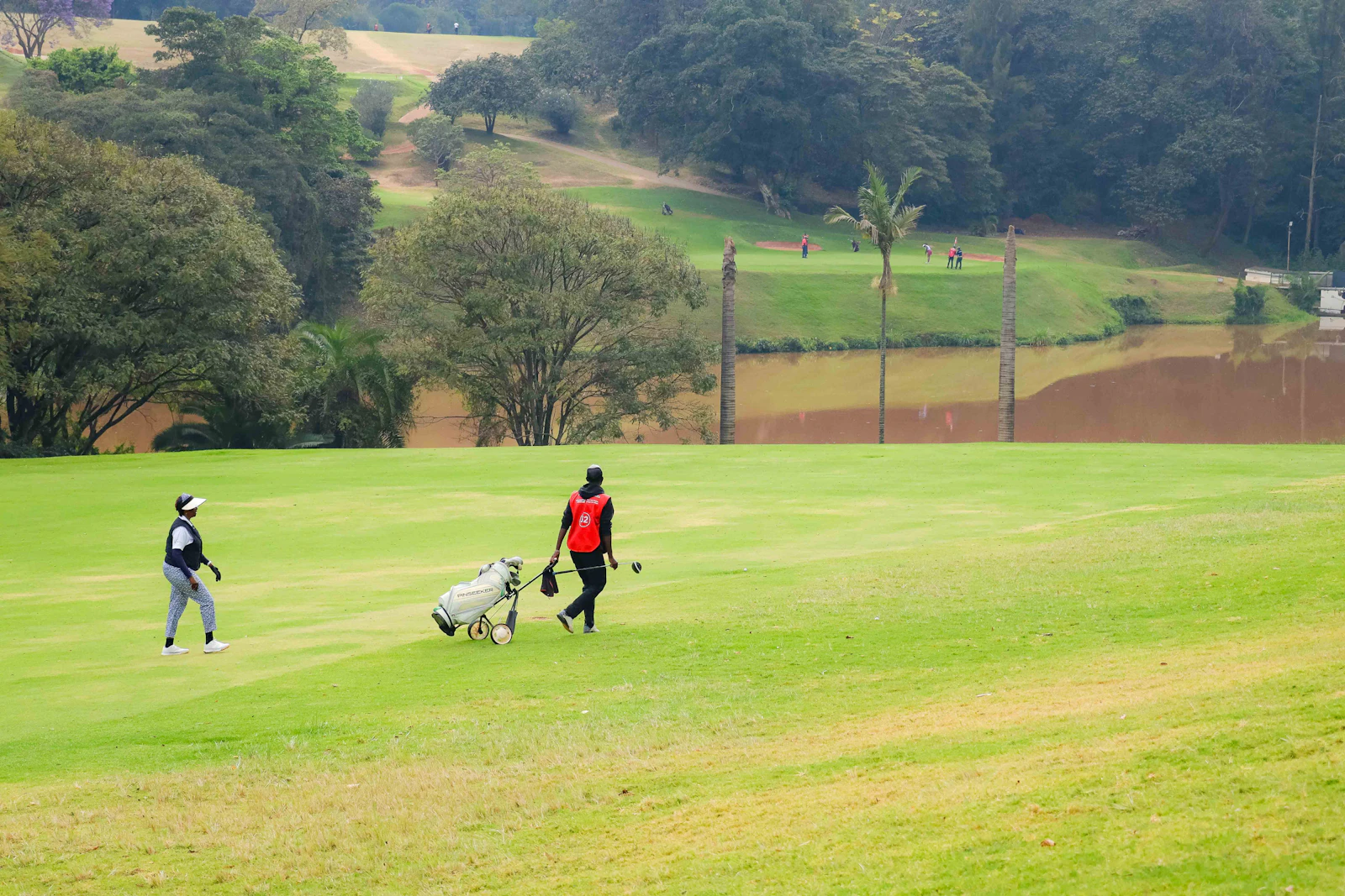 Golfer and caddie walking a tree-lined parkland fairway