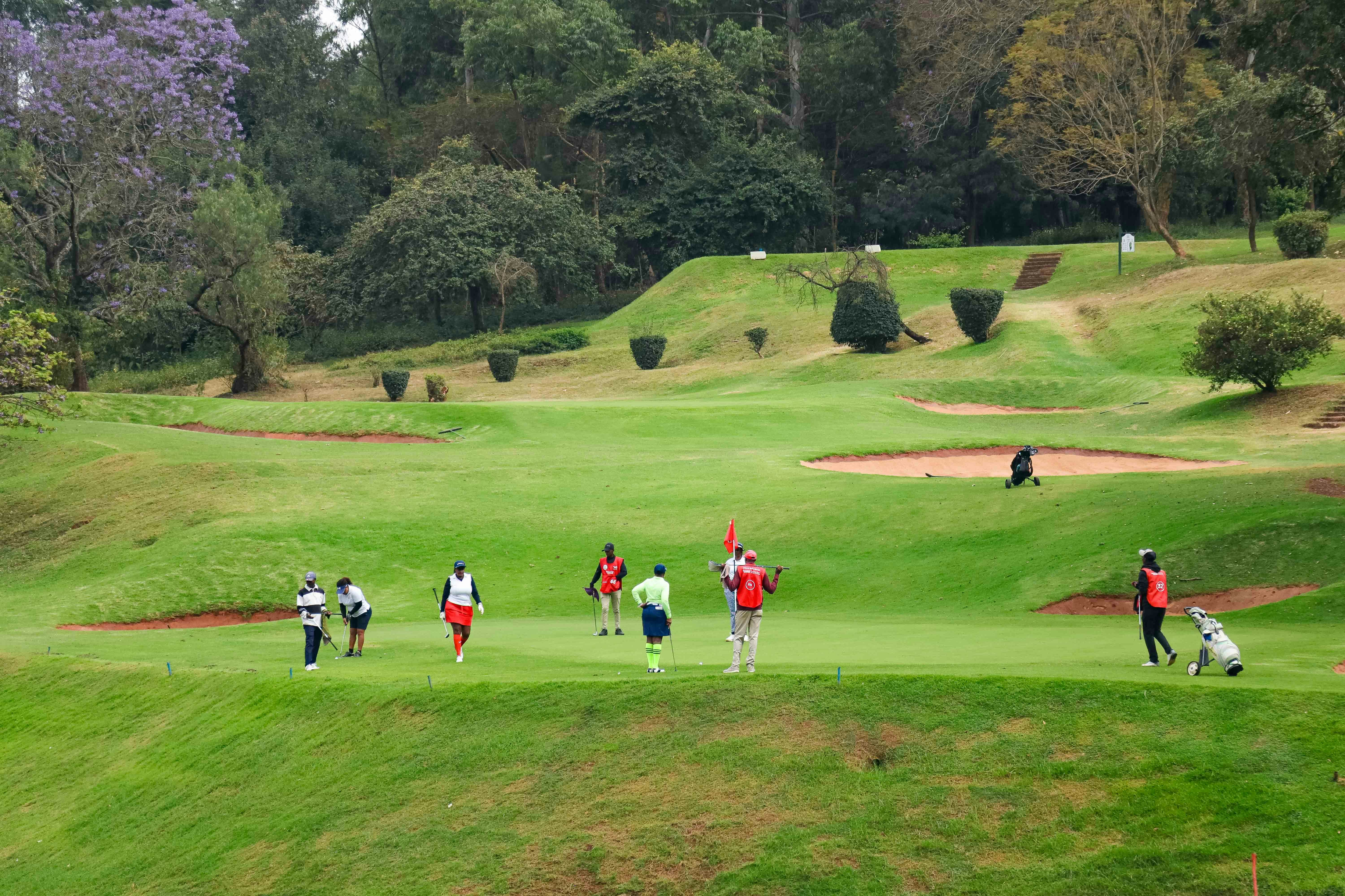A group of golfers on a green course with sand bunkers and trees