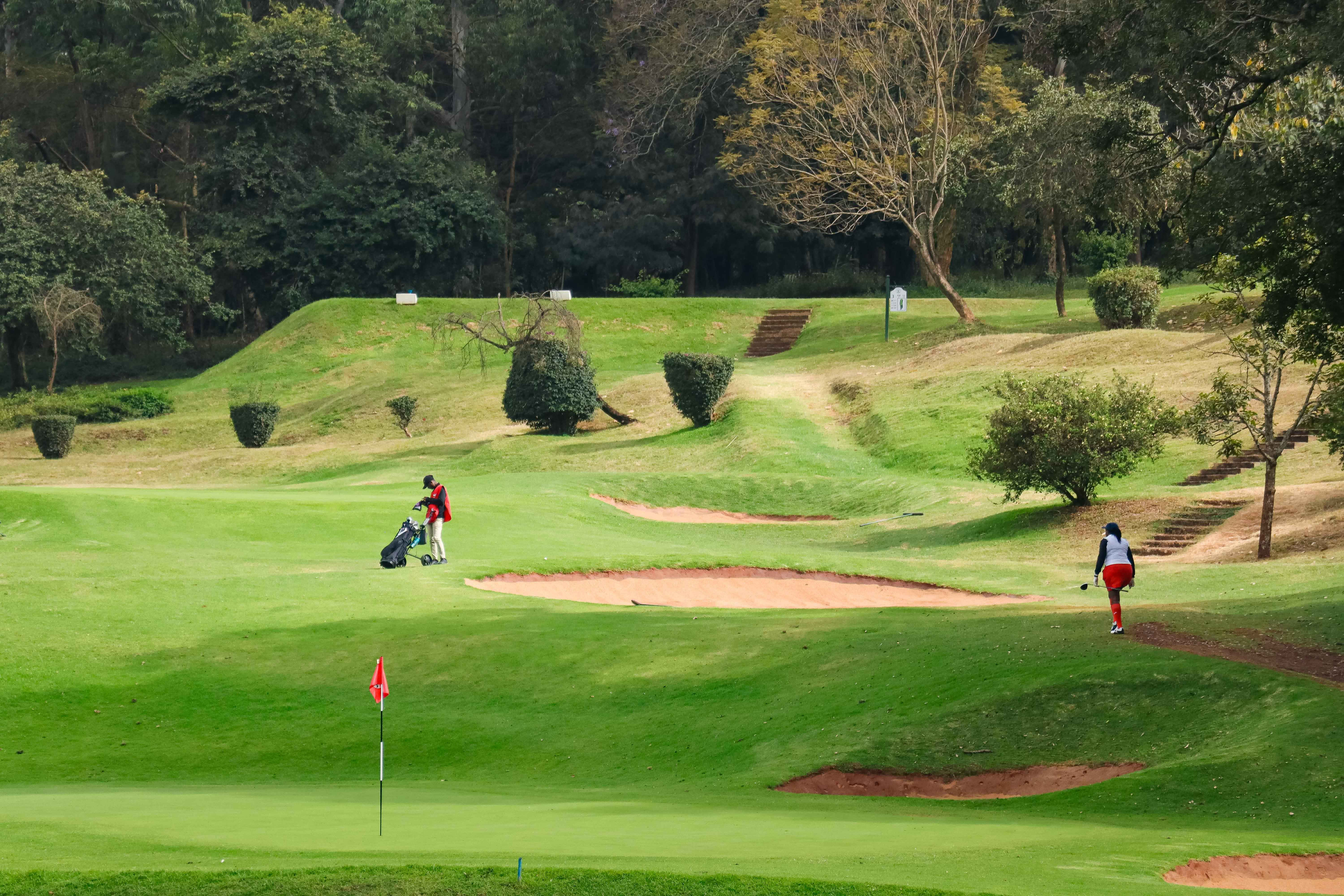 Two people playing golf on a green course with sand bunkers and trees