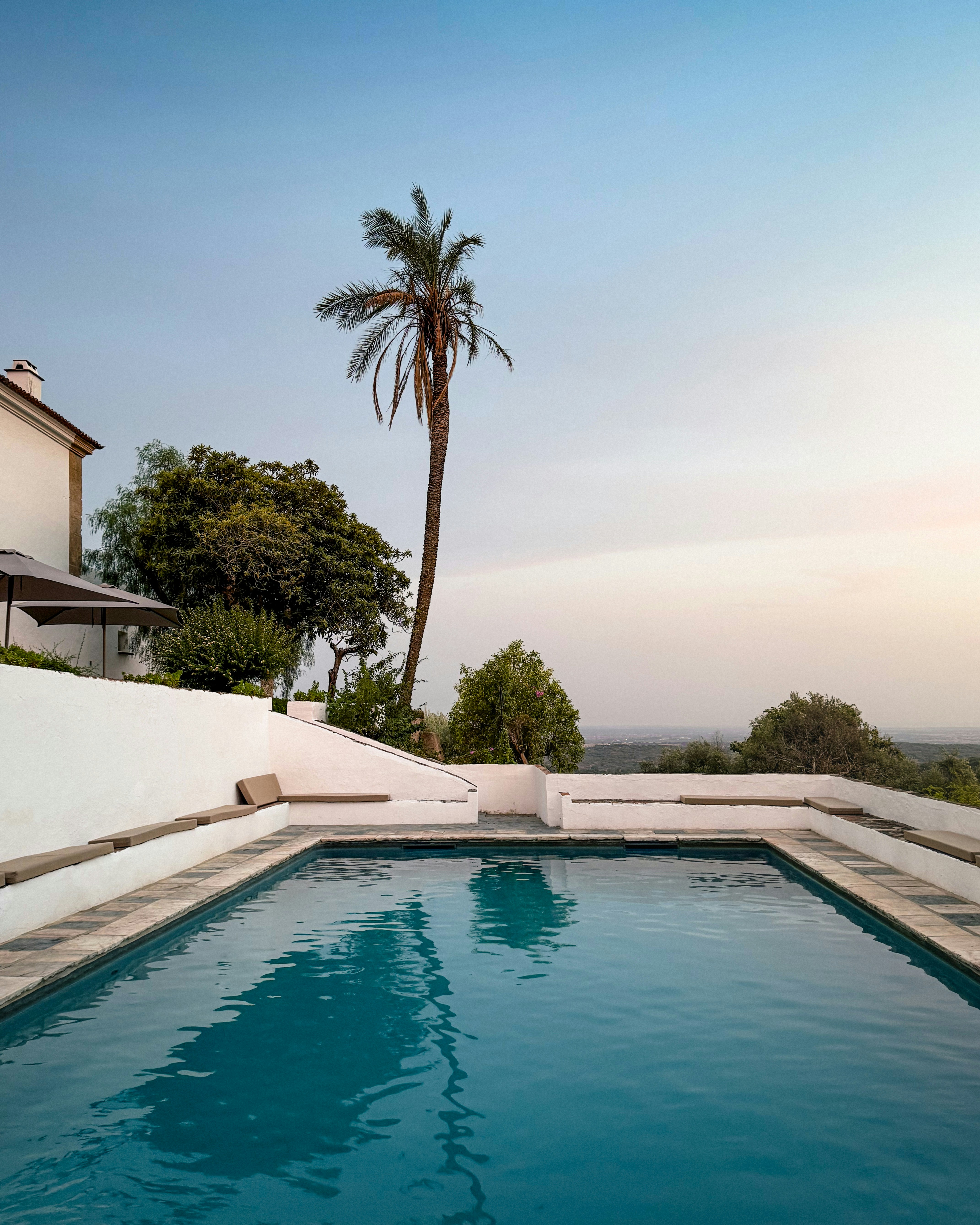 A swimming pool with white walls and a tall palm tree at dusk