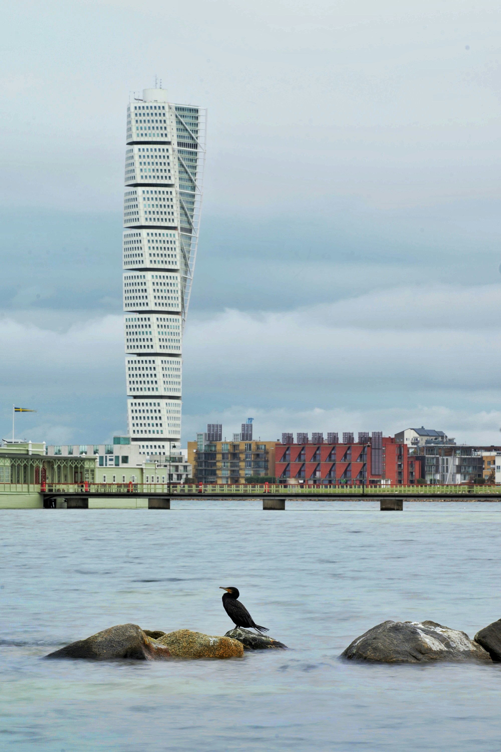 A cormorant on a rock with the Turning Torso skyscraper in Malmö, Sweden