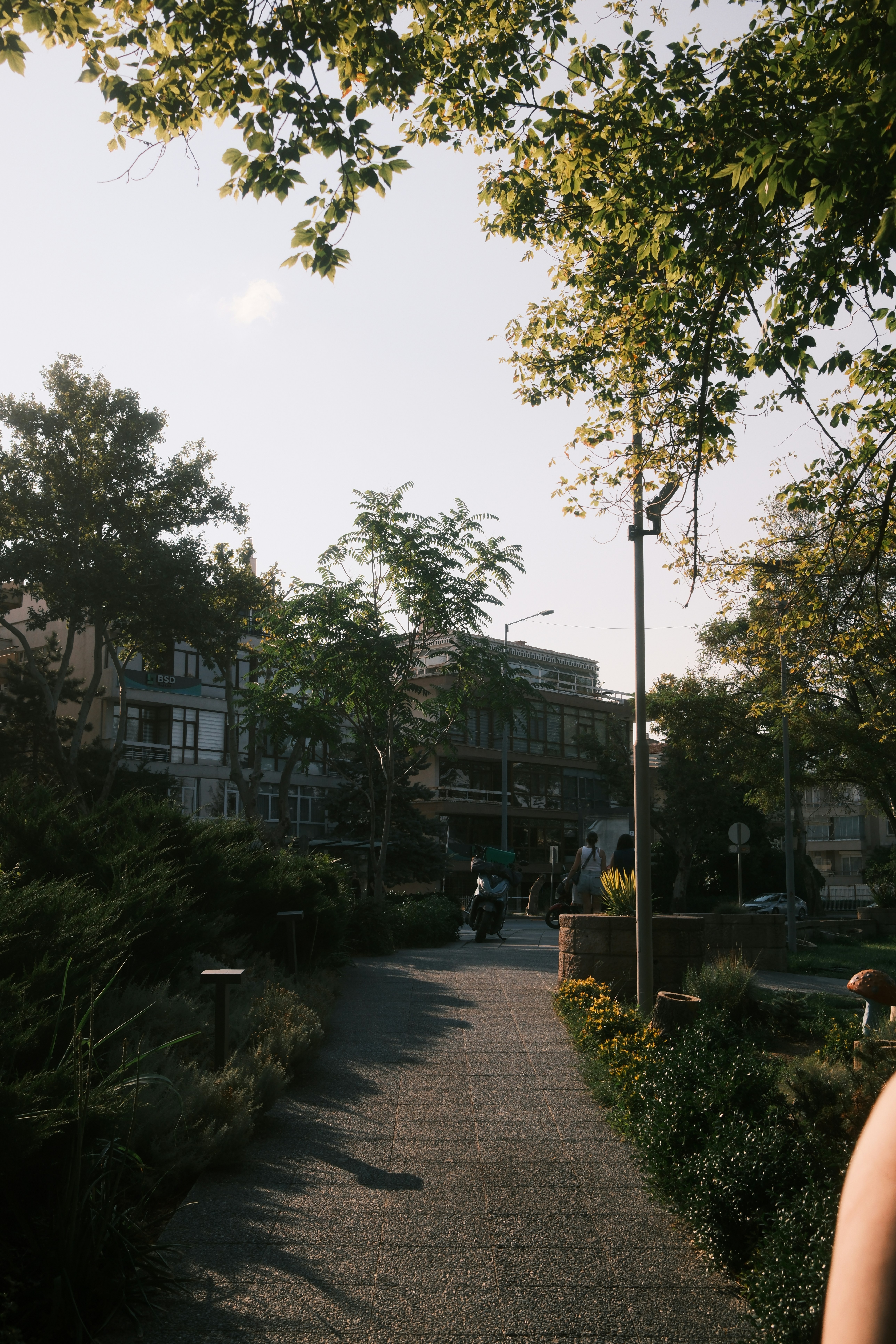 Ein gepflasterter Weg durch einen Park mit Bäumen und Gebäuden im Hintergrund
